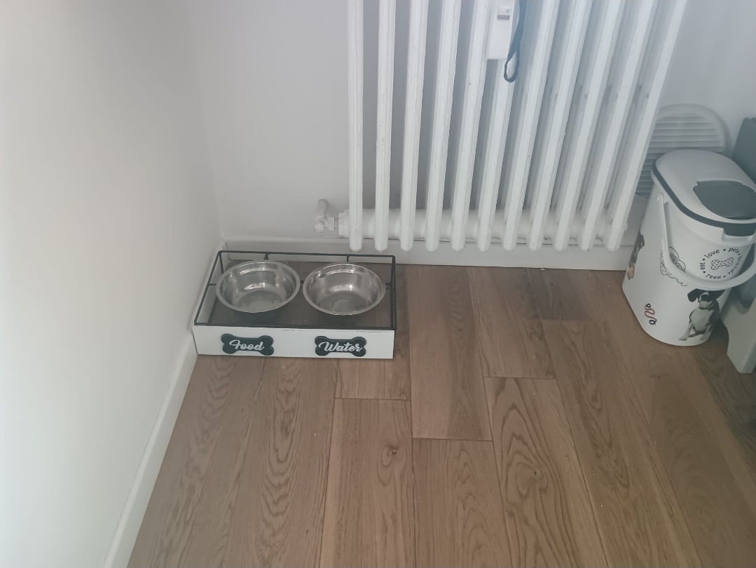 image-17