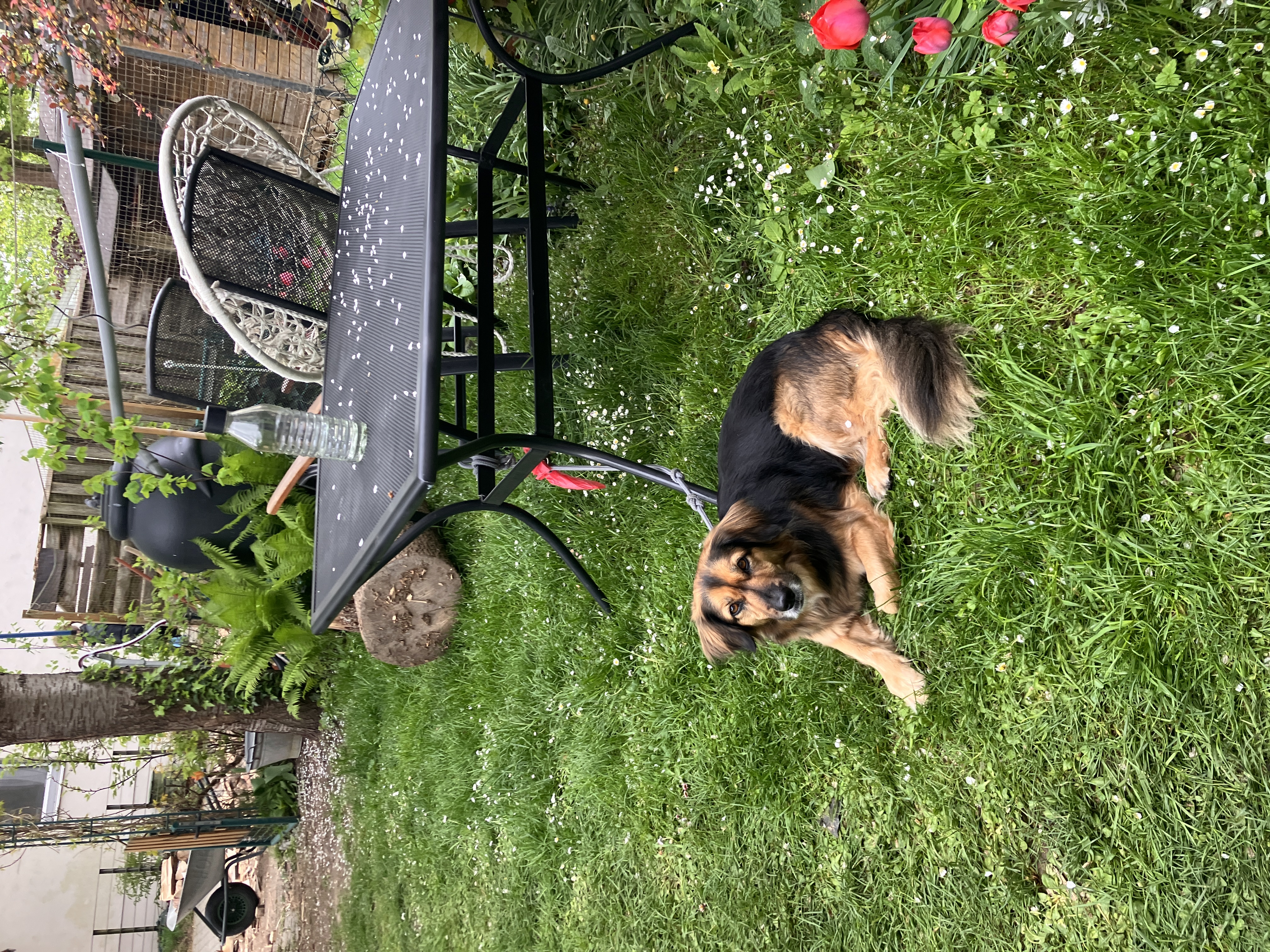image-28