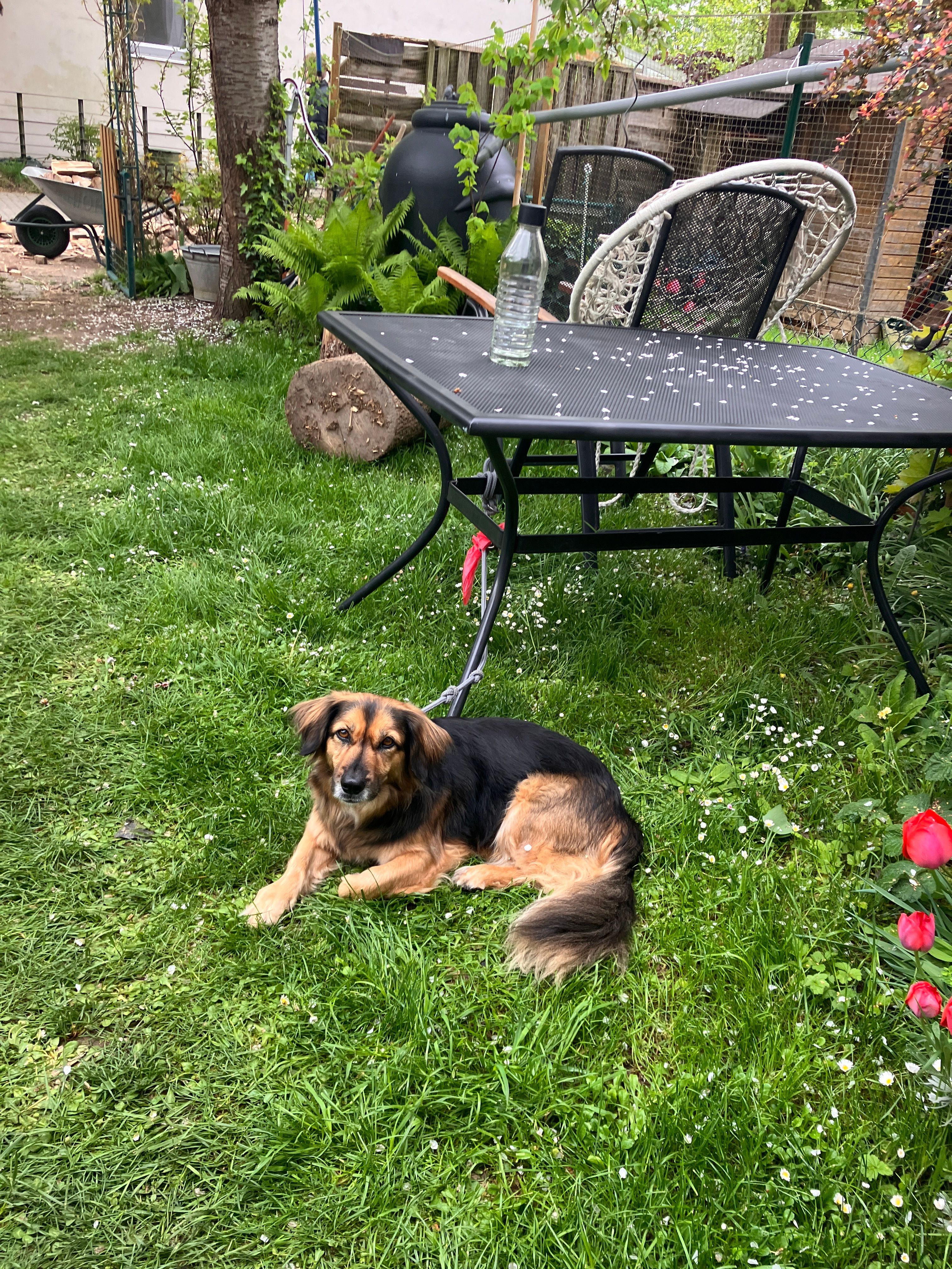image-28