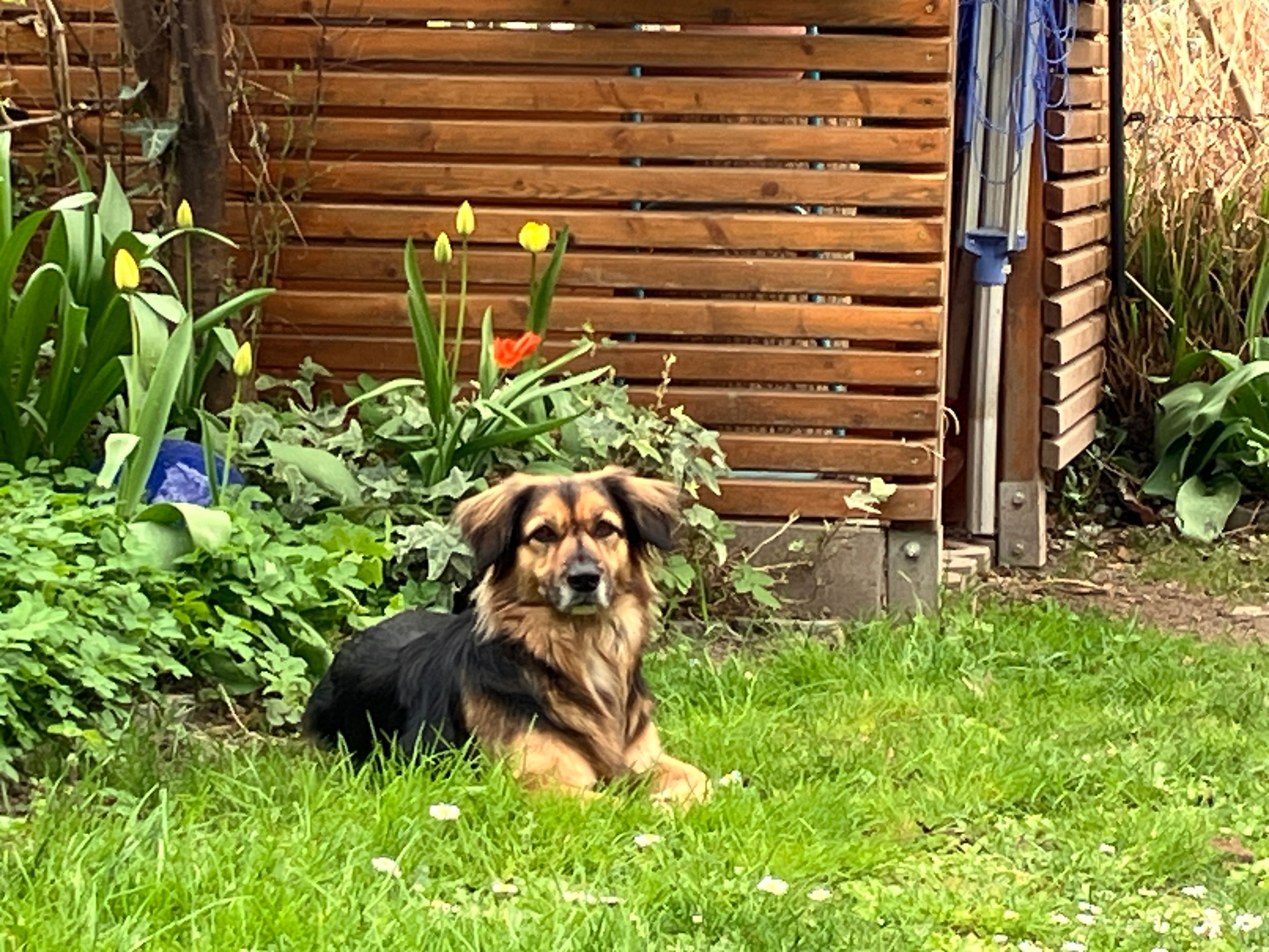 image-29