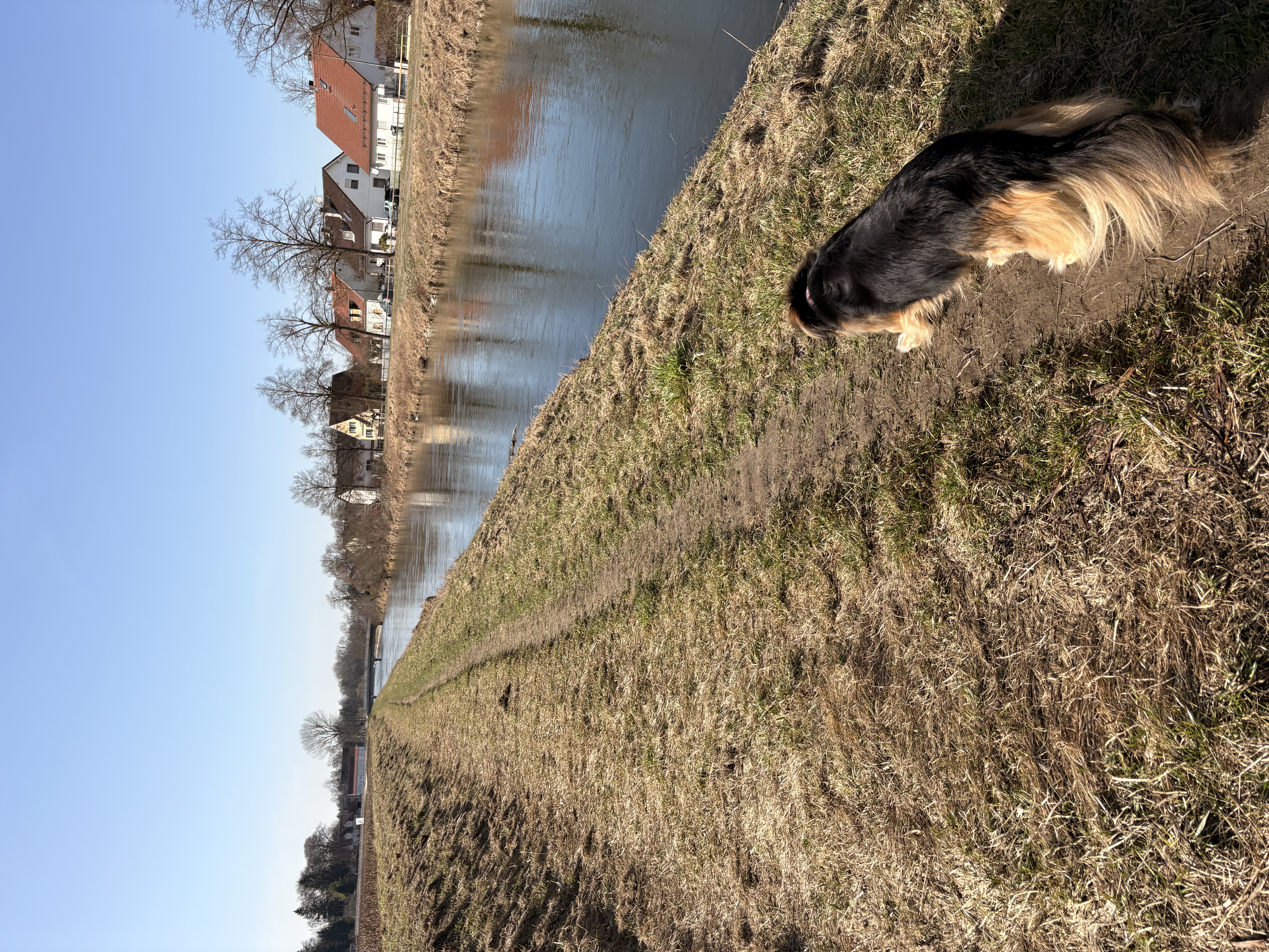 image-20