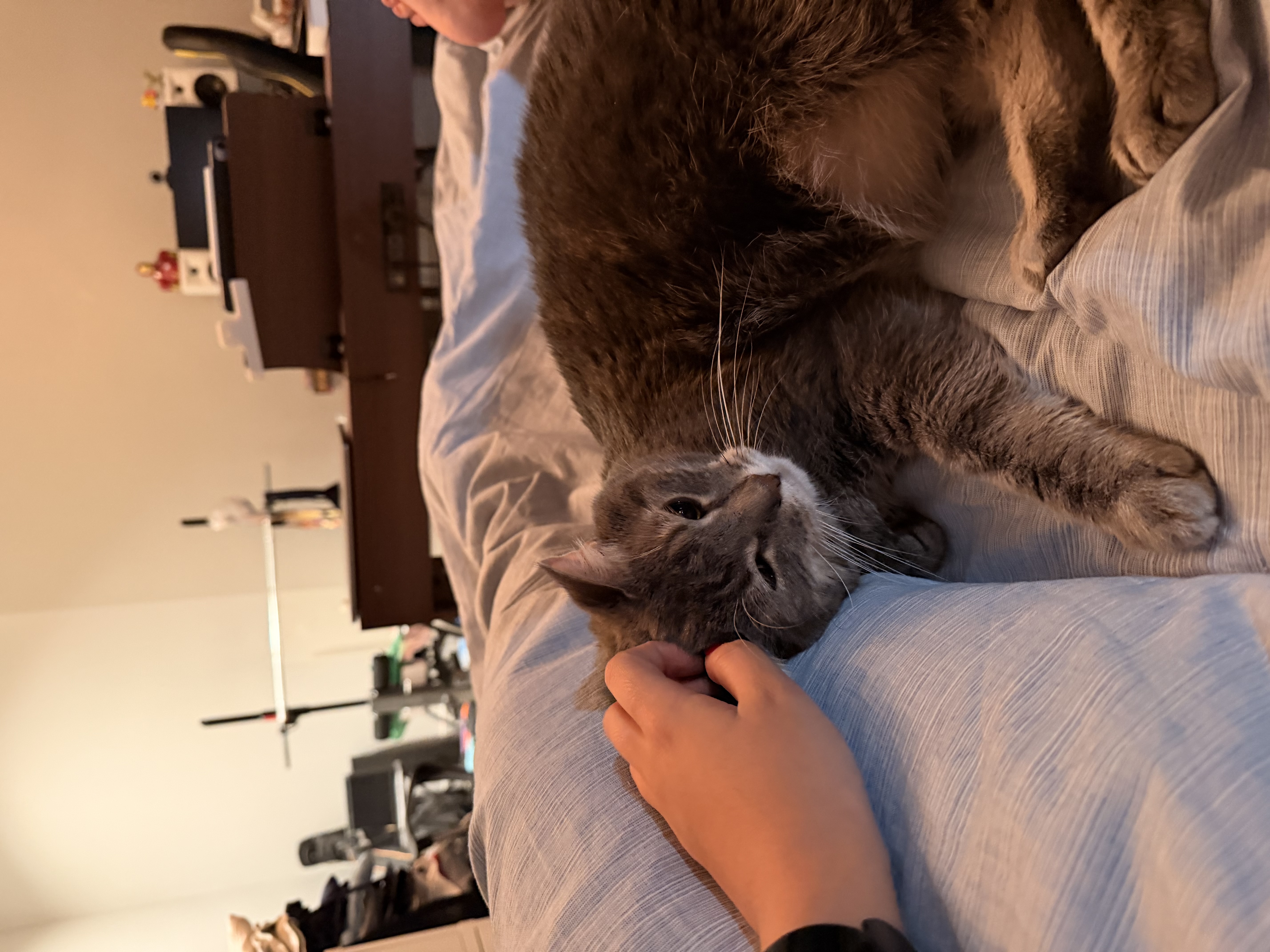 image-9