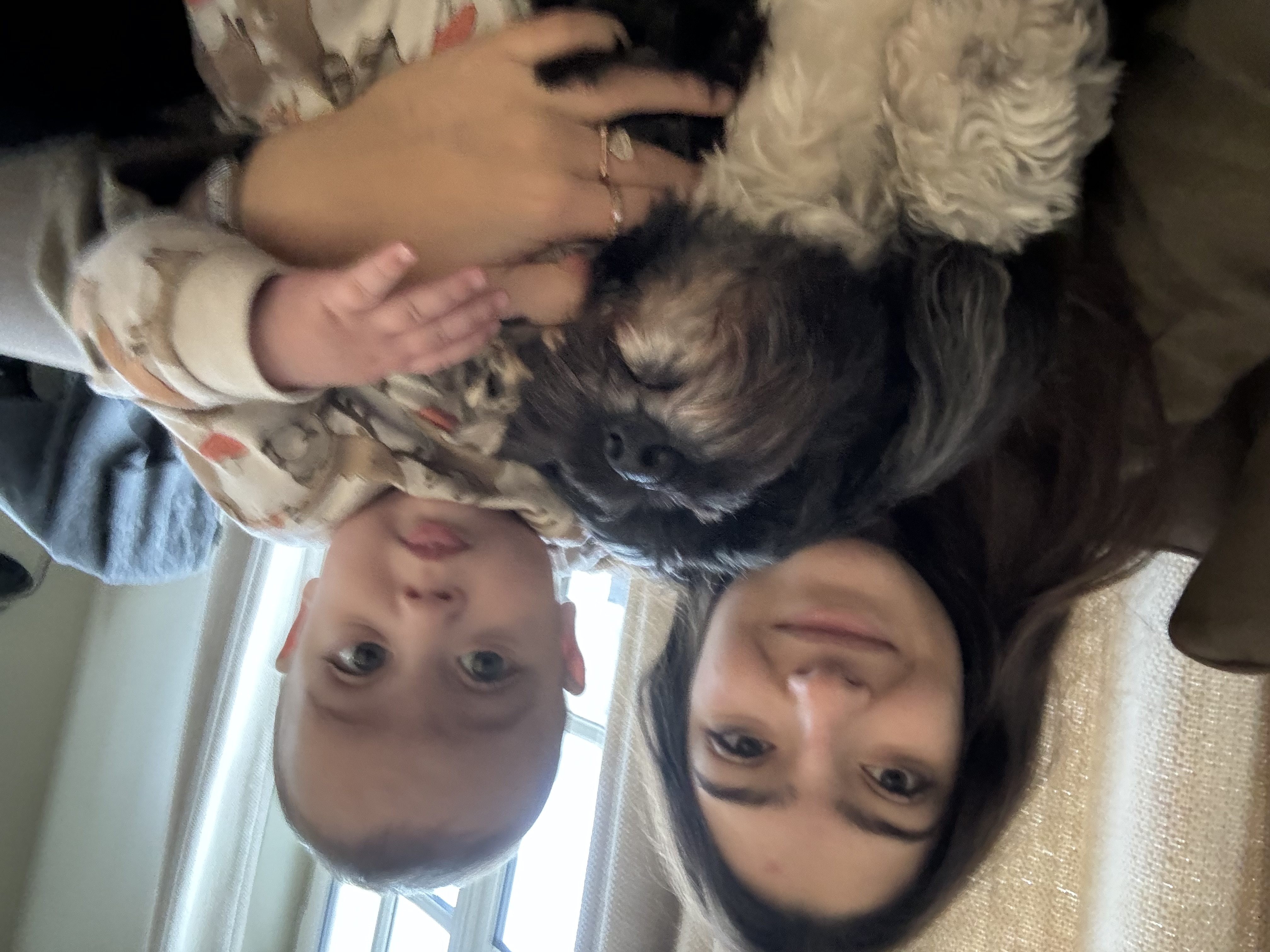 image-4