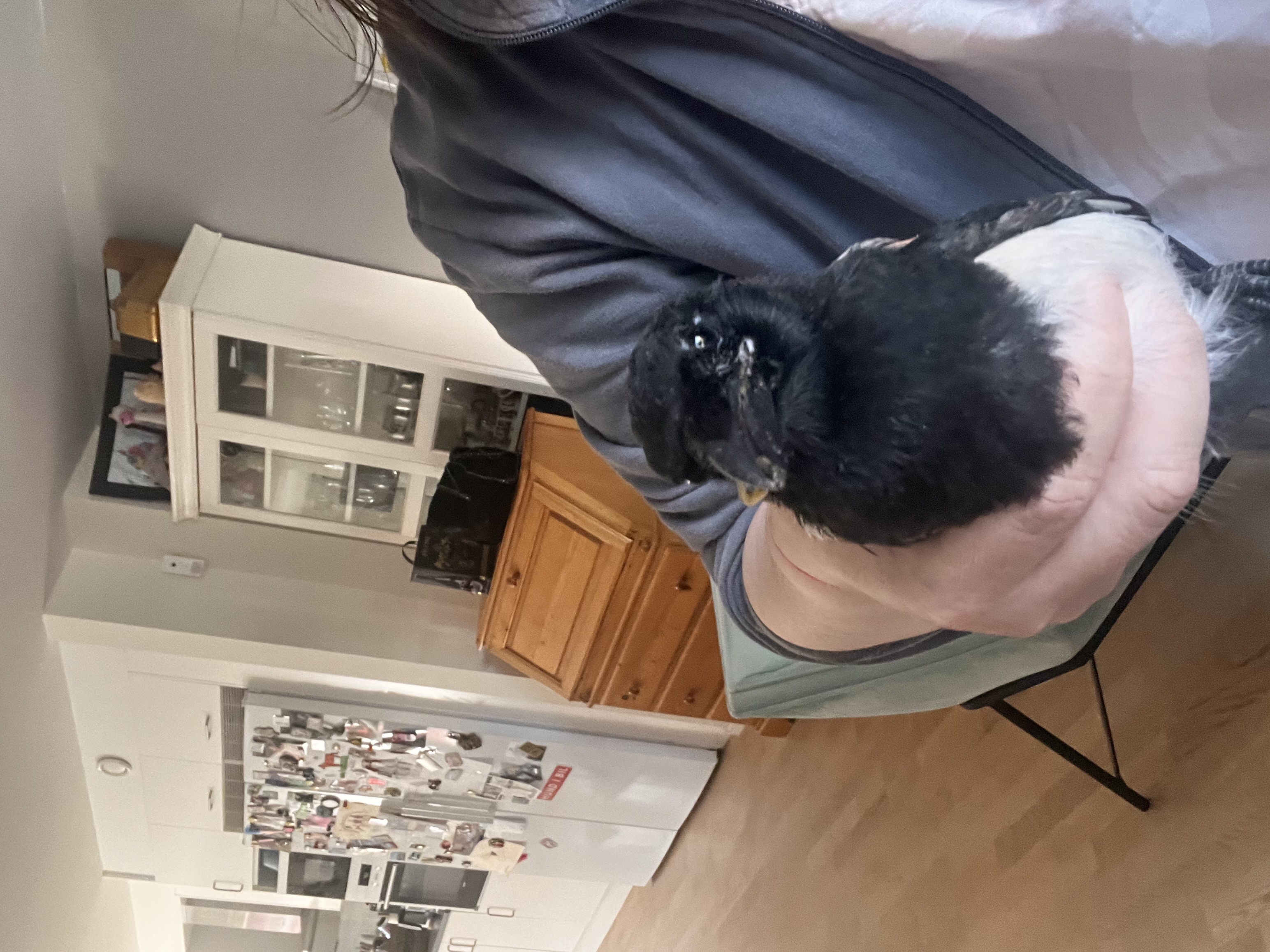 image-1