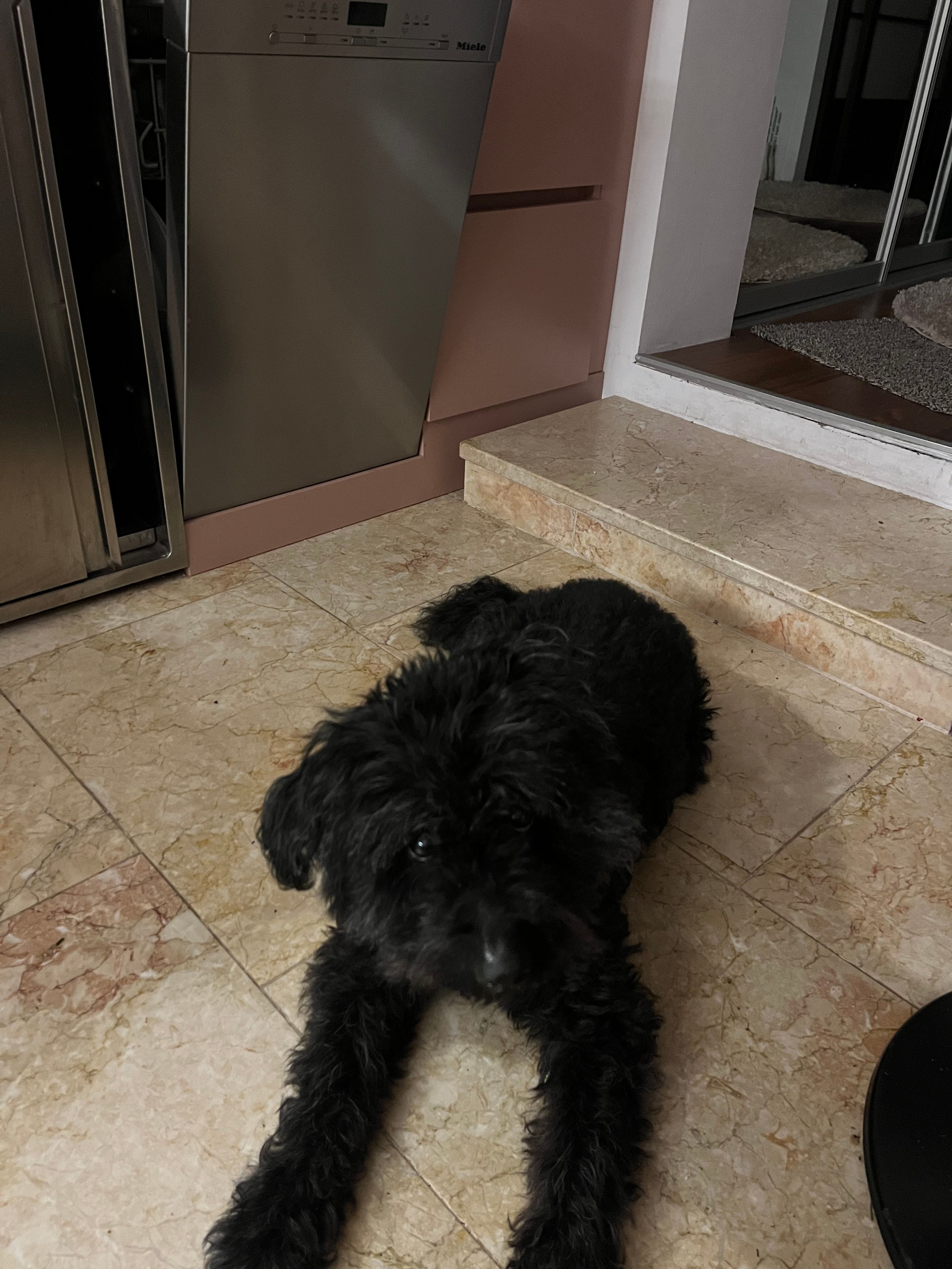 image-13