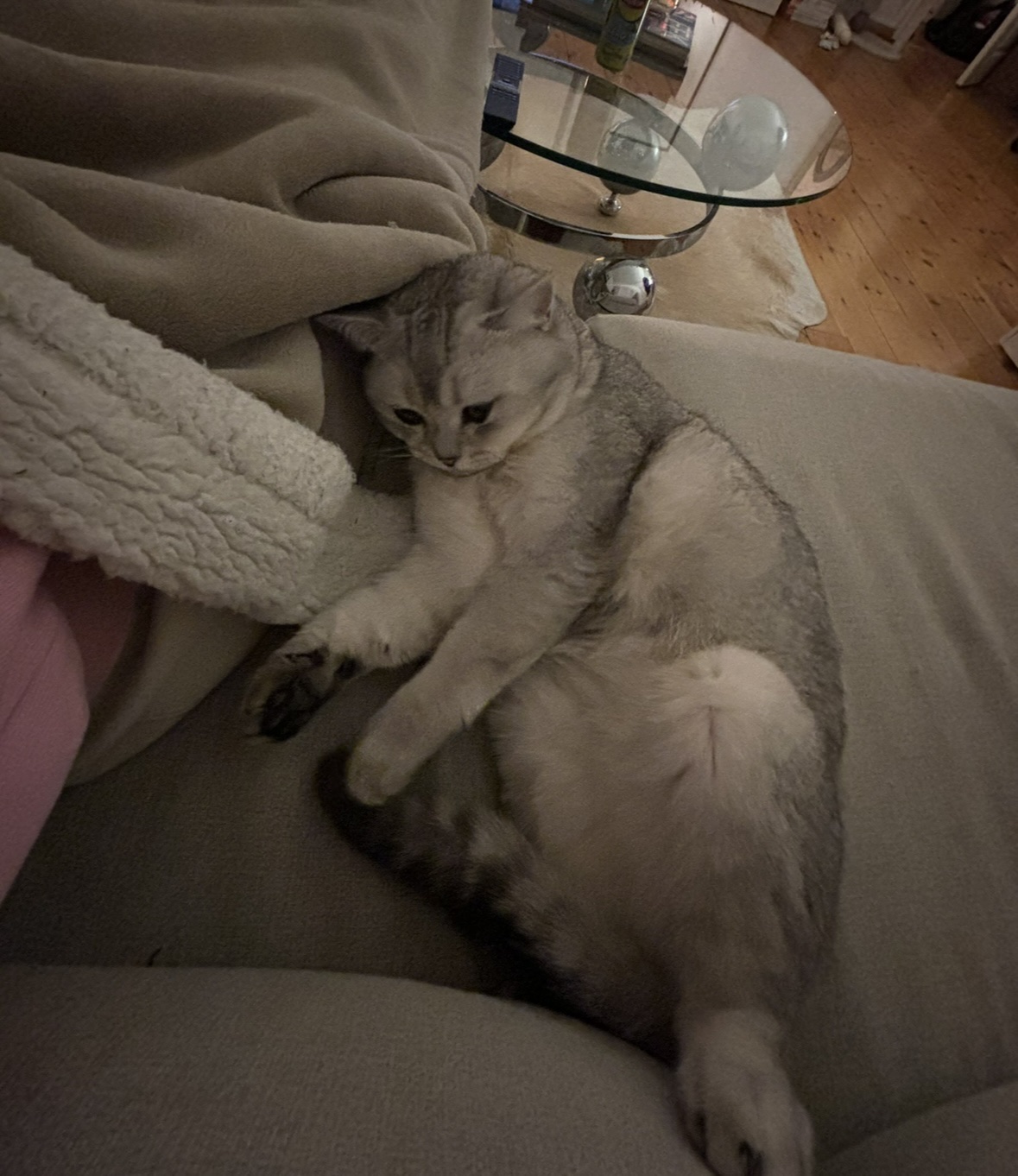 image-8