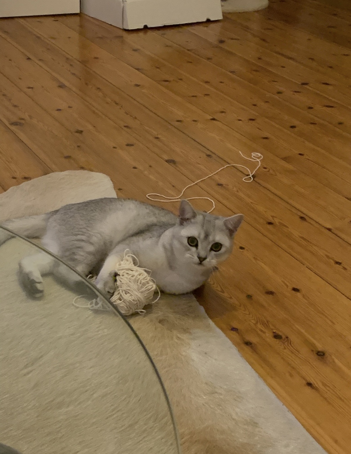 image-9