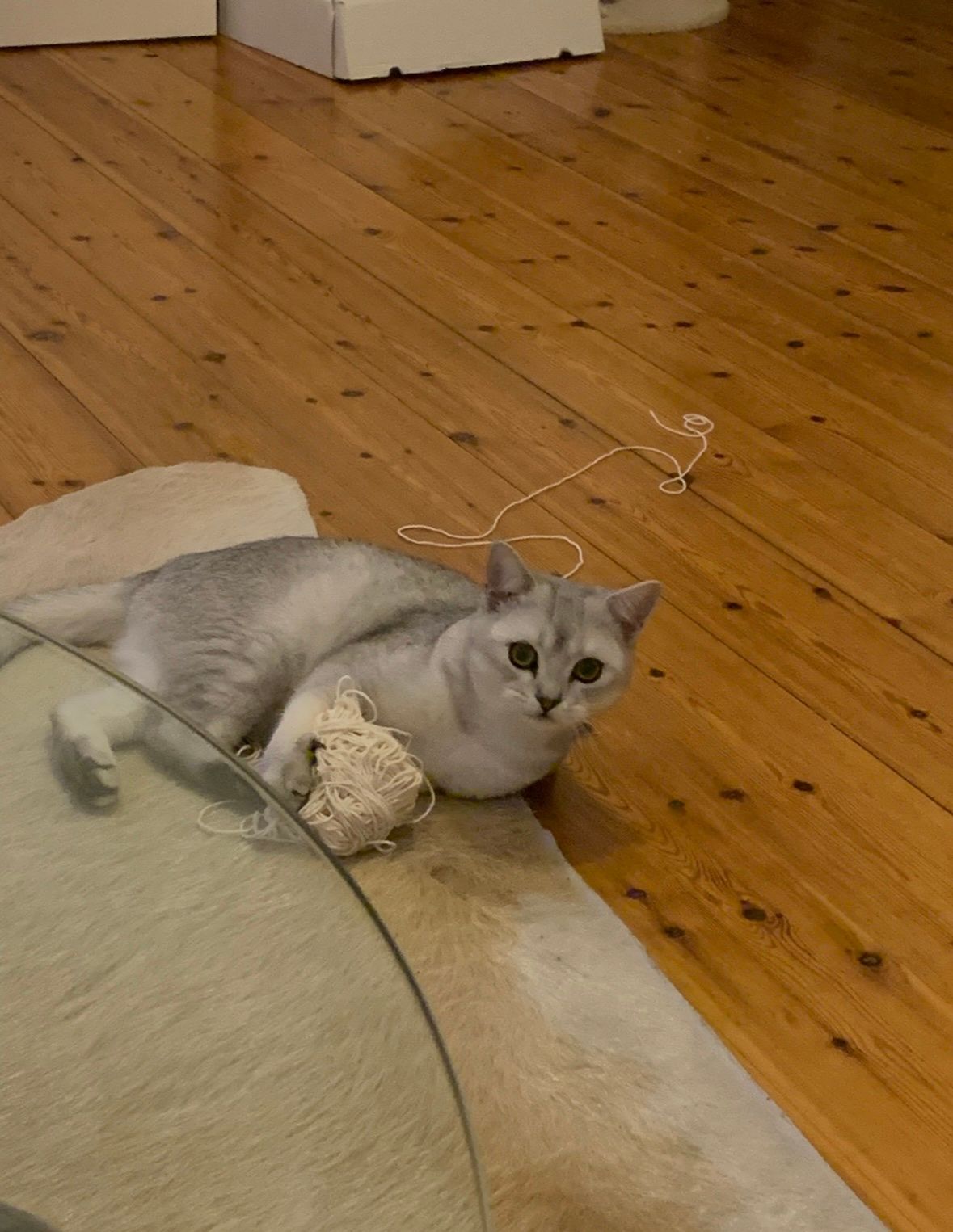 image-9