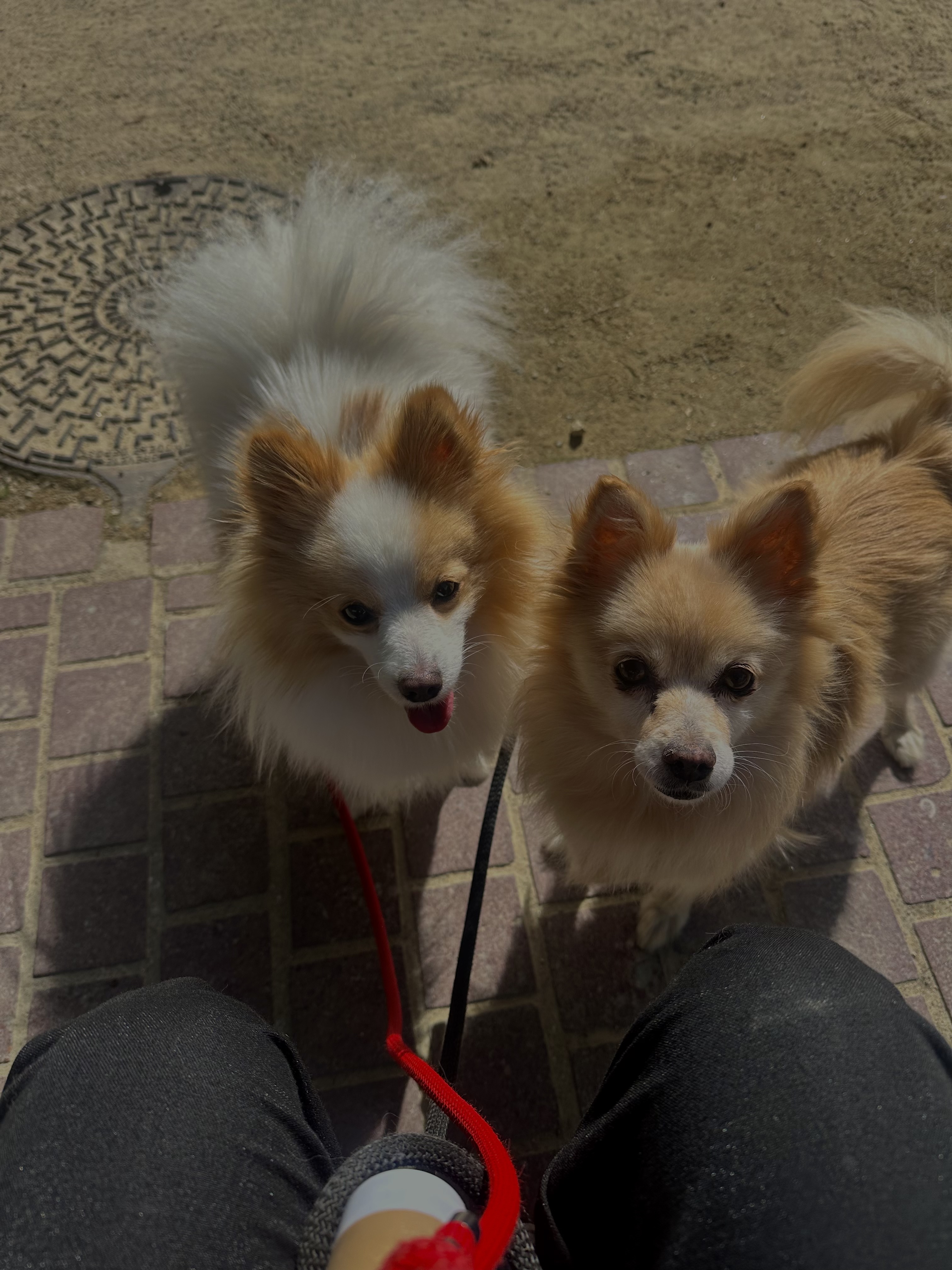image-15