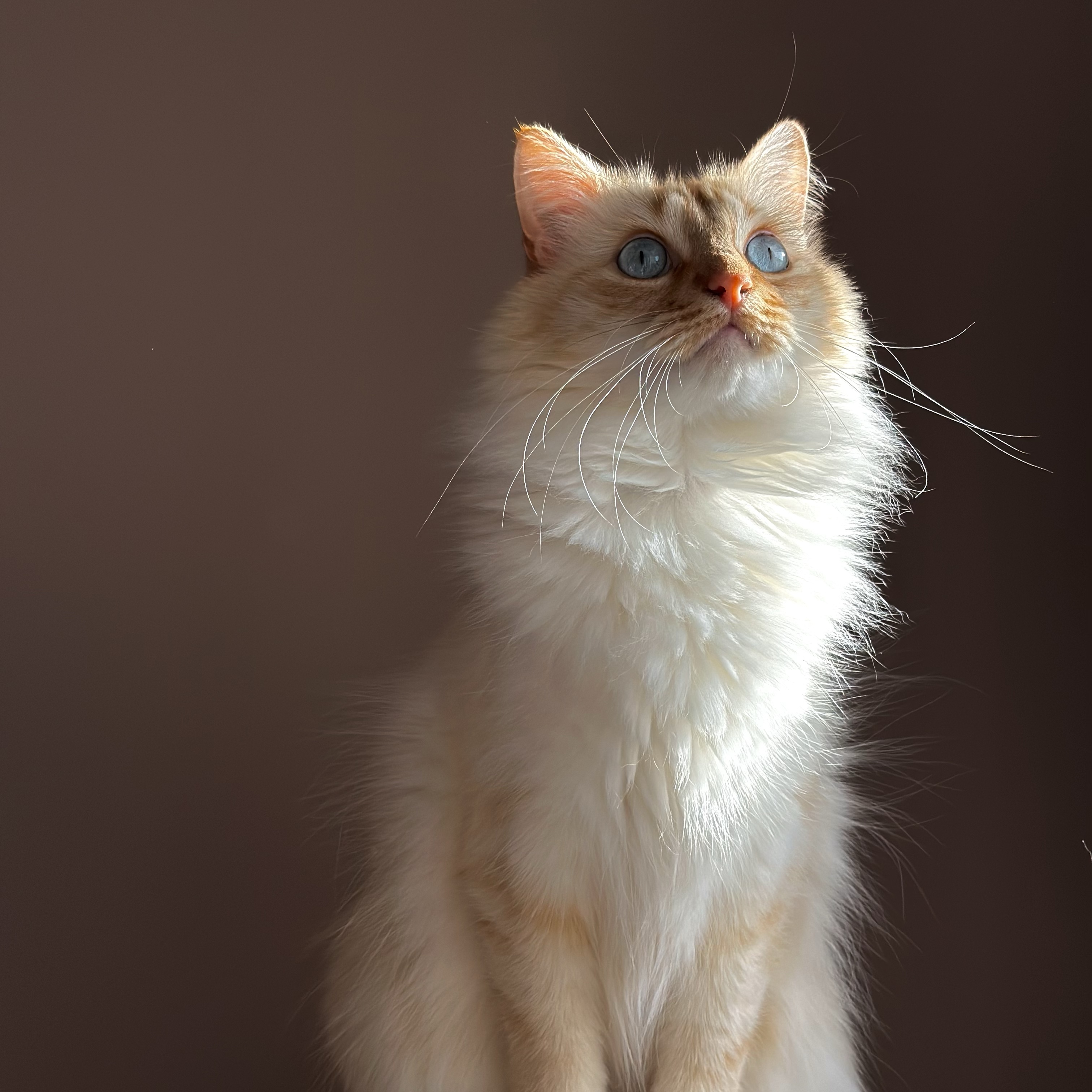 Ragnar