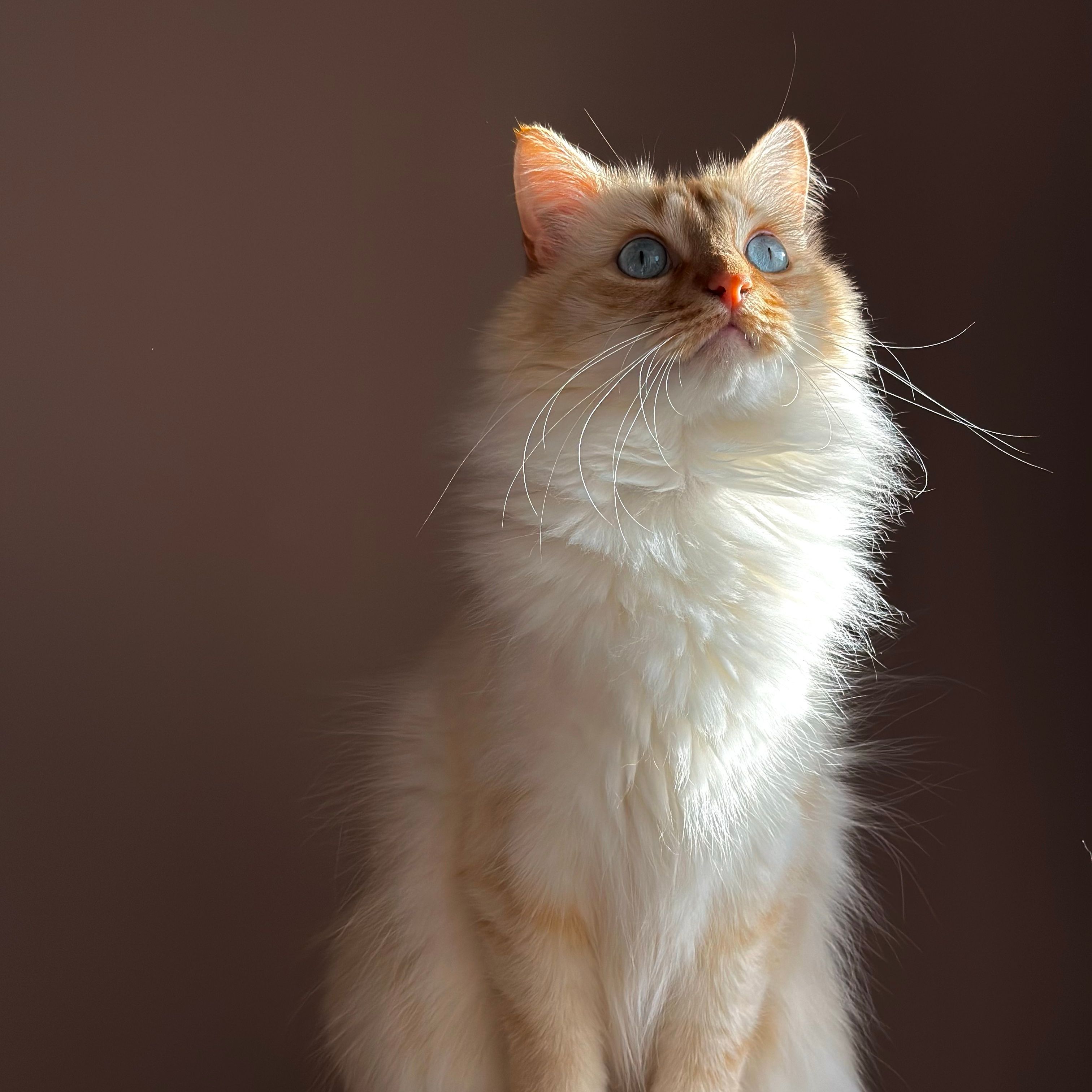 Ragnar
