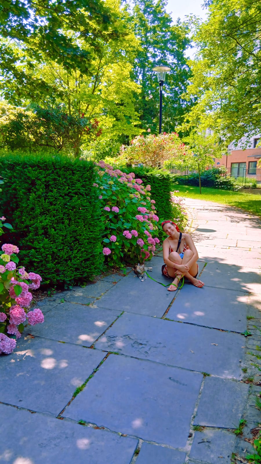 image-5