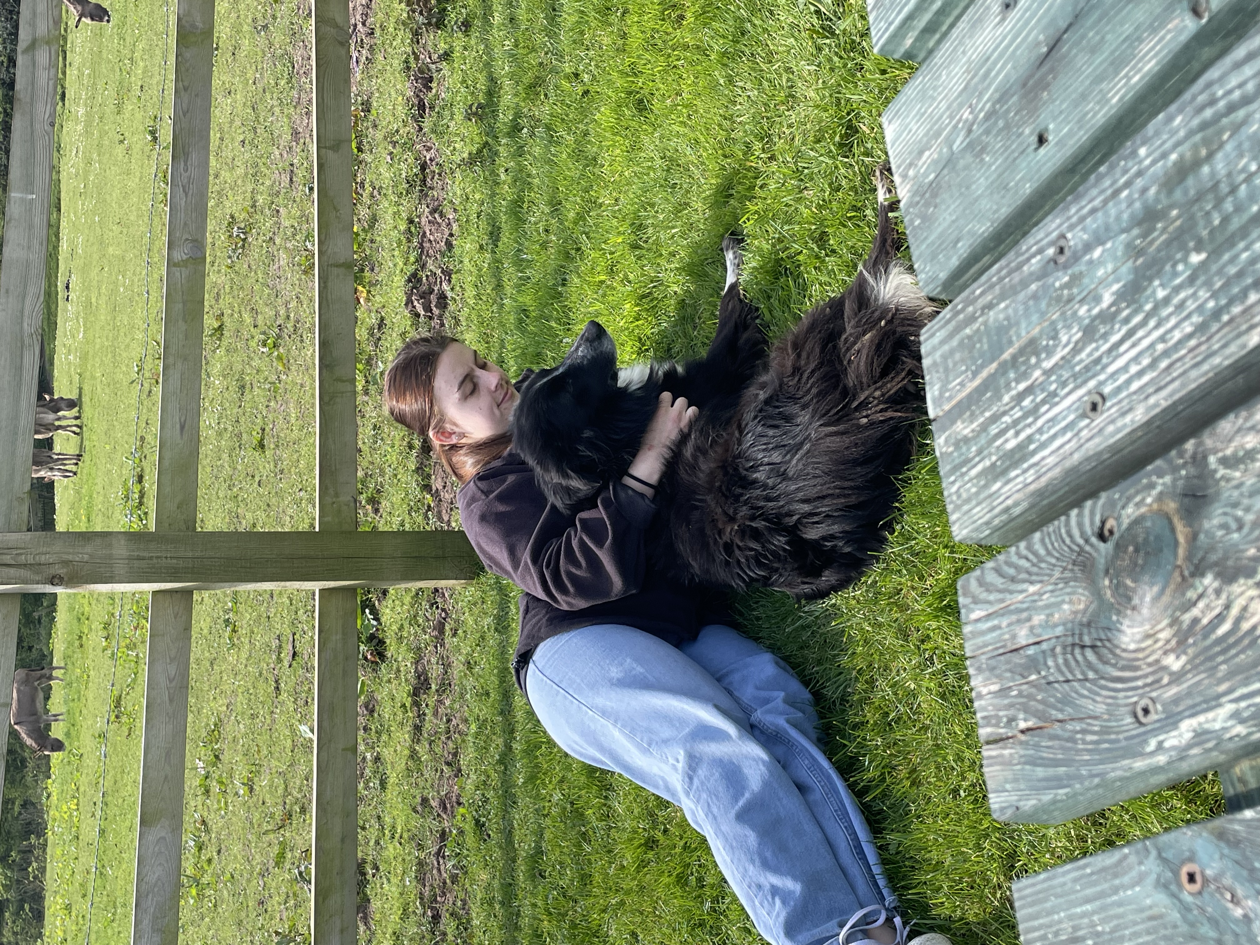 image-7