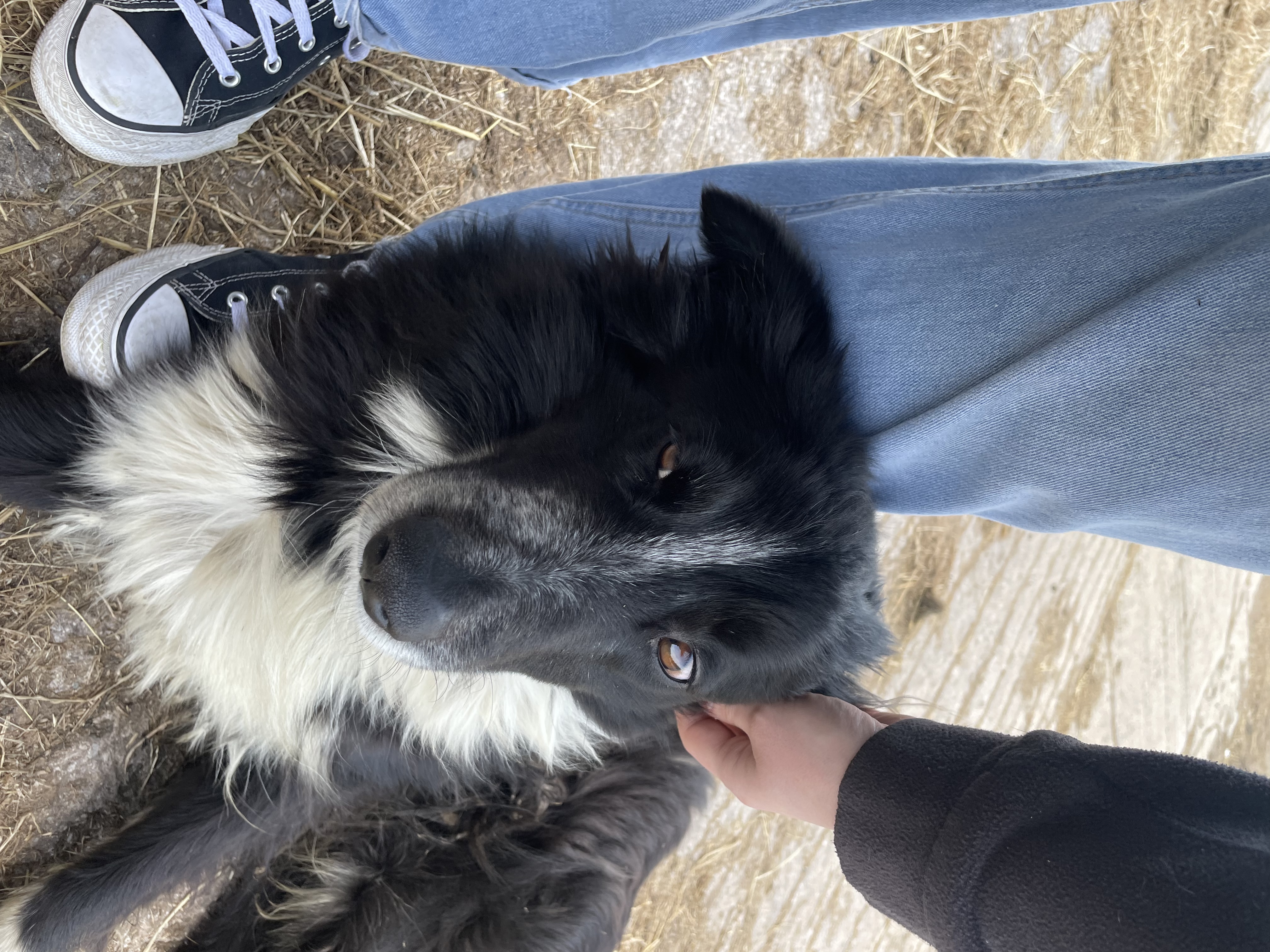 image-6