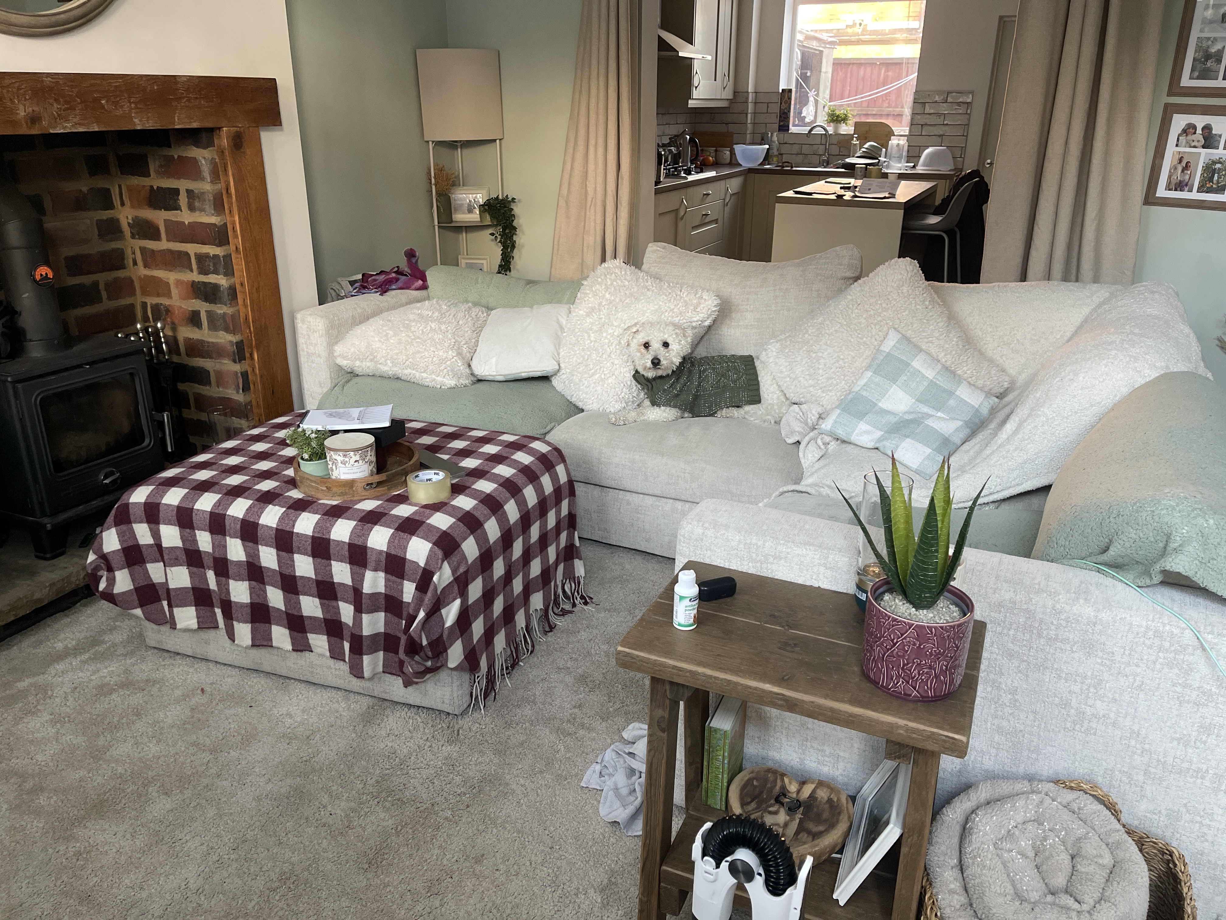 image-12