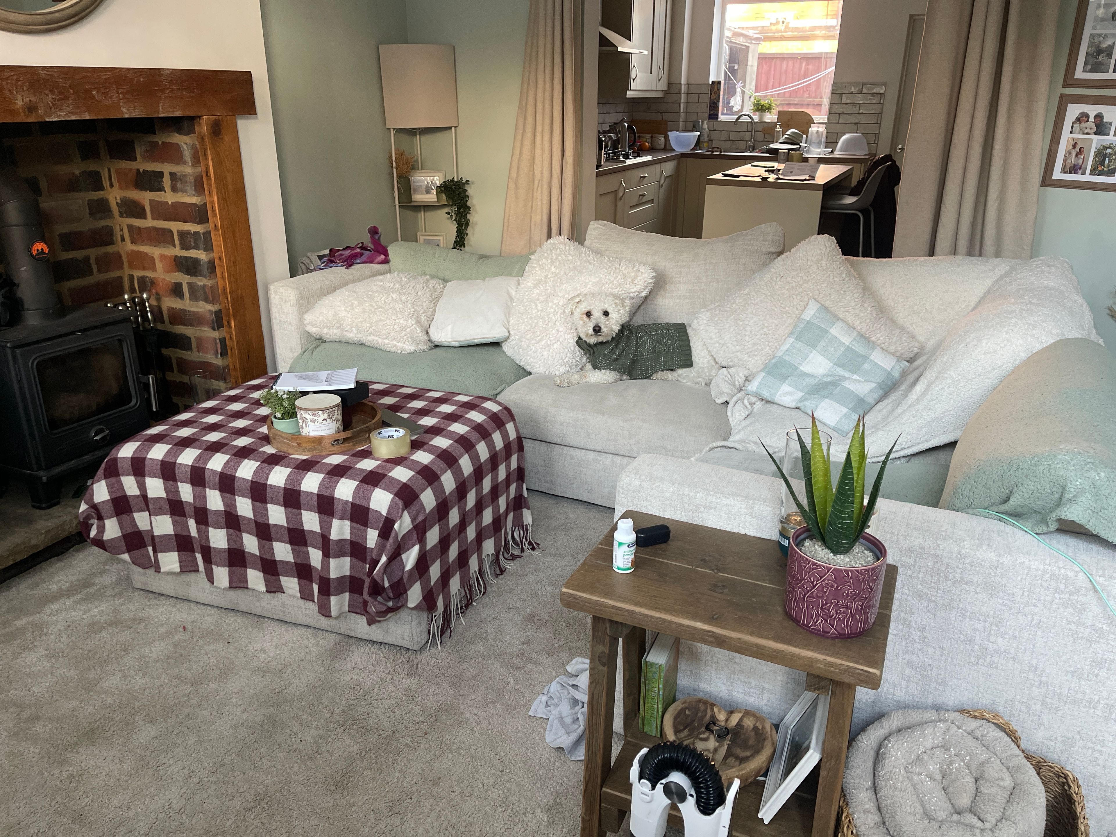 image-12
