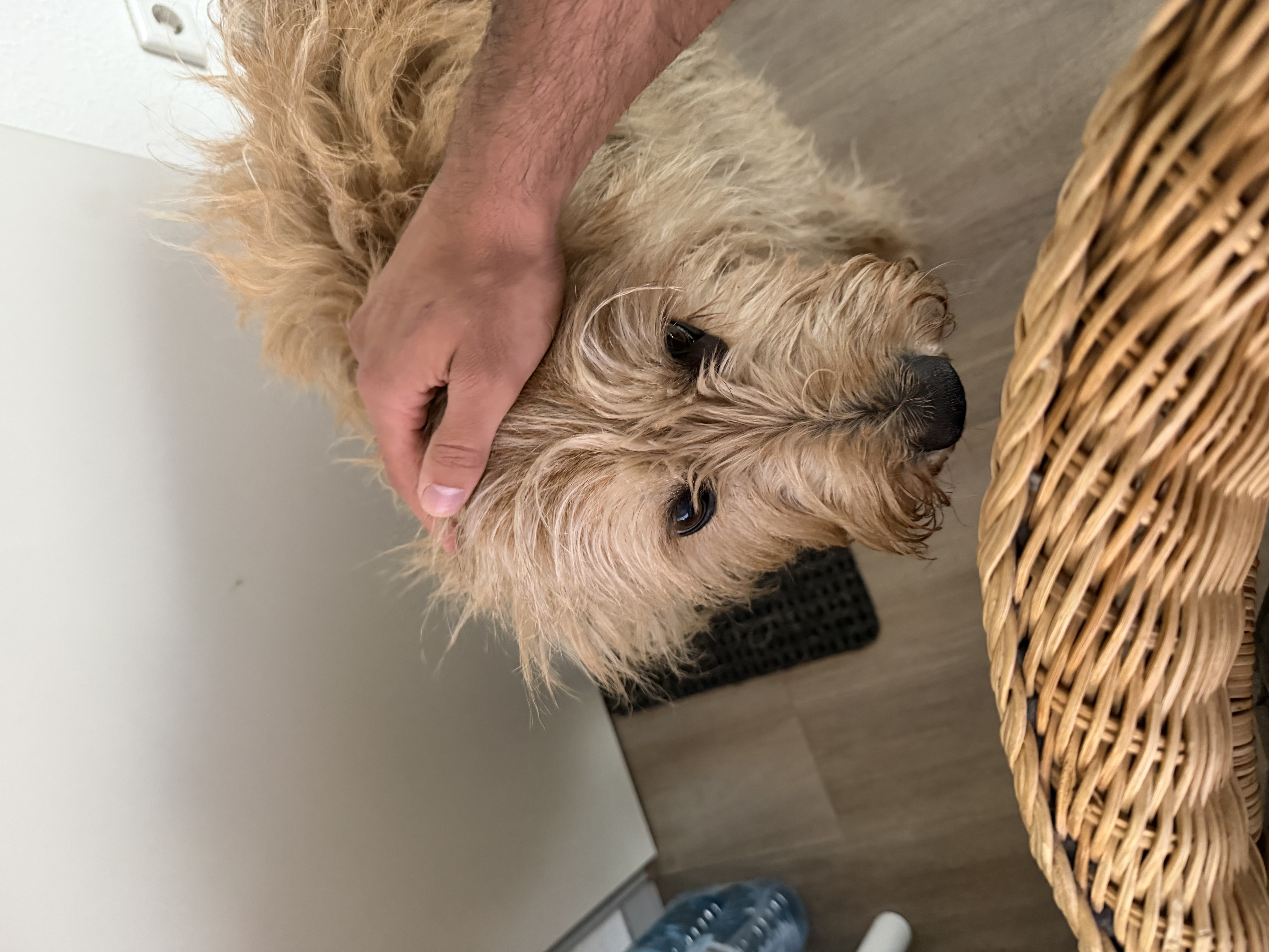 image-6