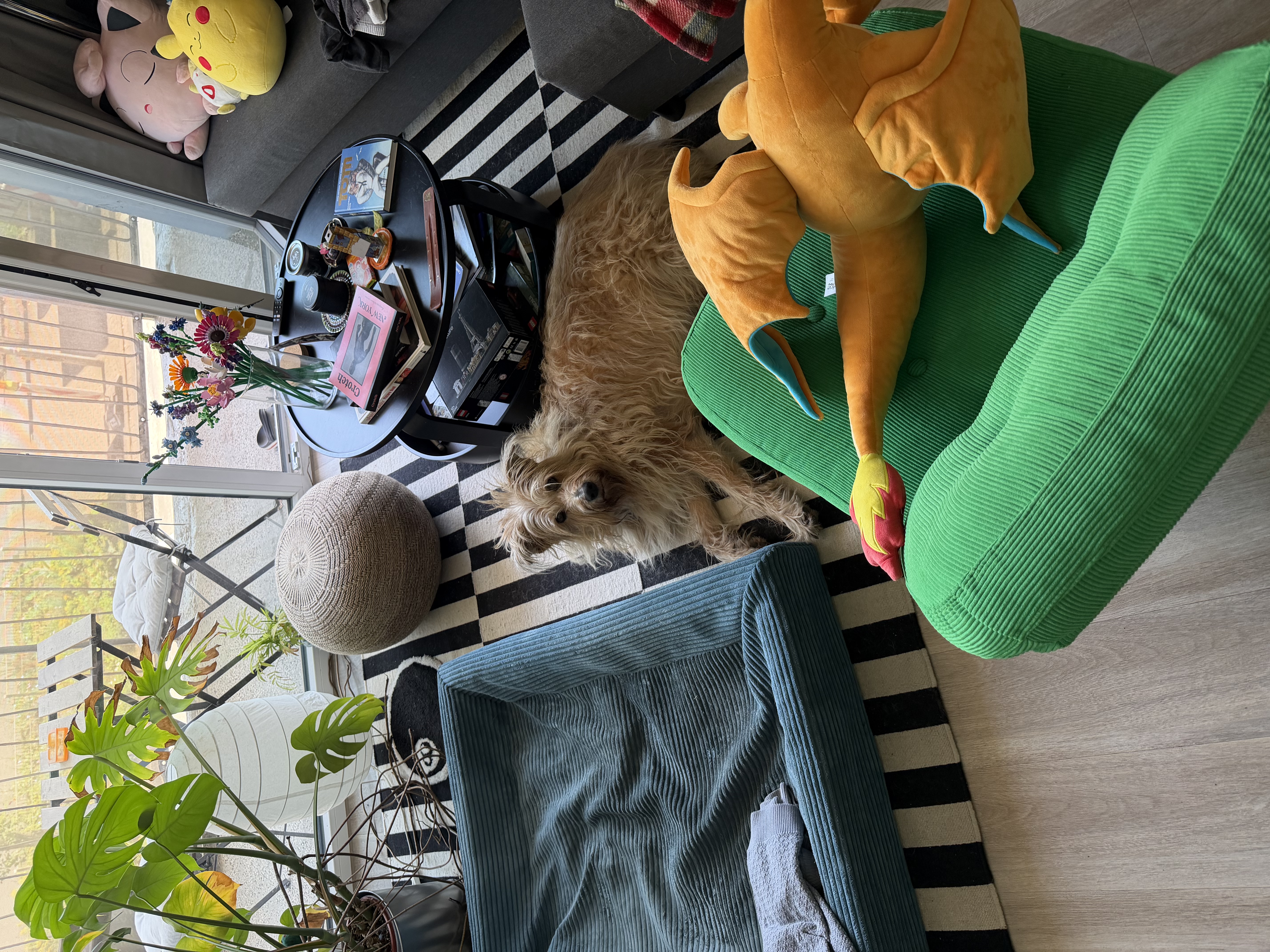 image-9