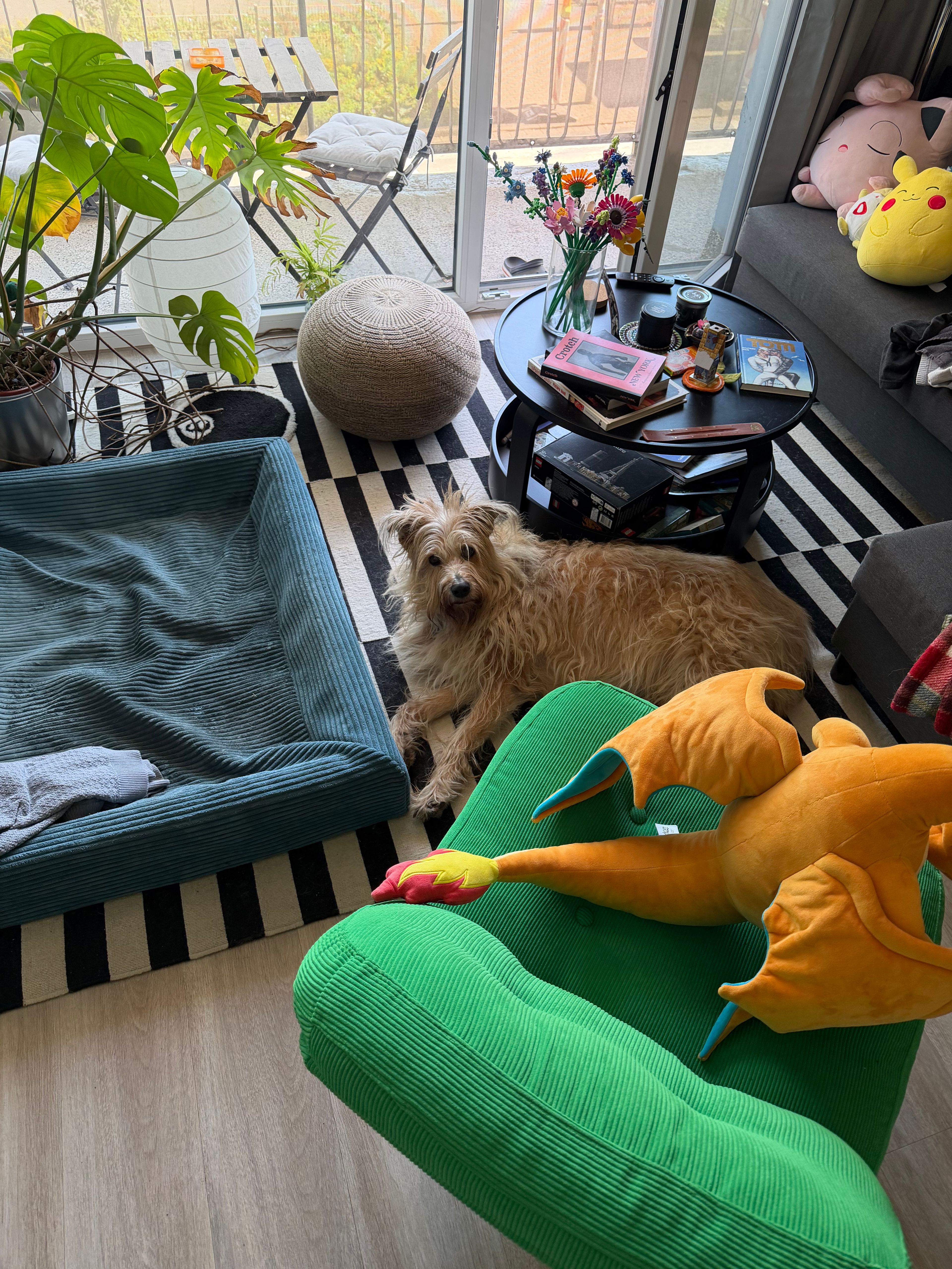image-9
