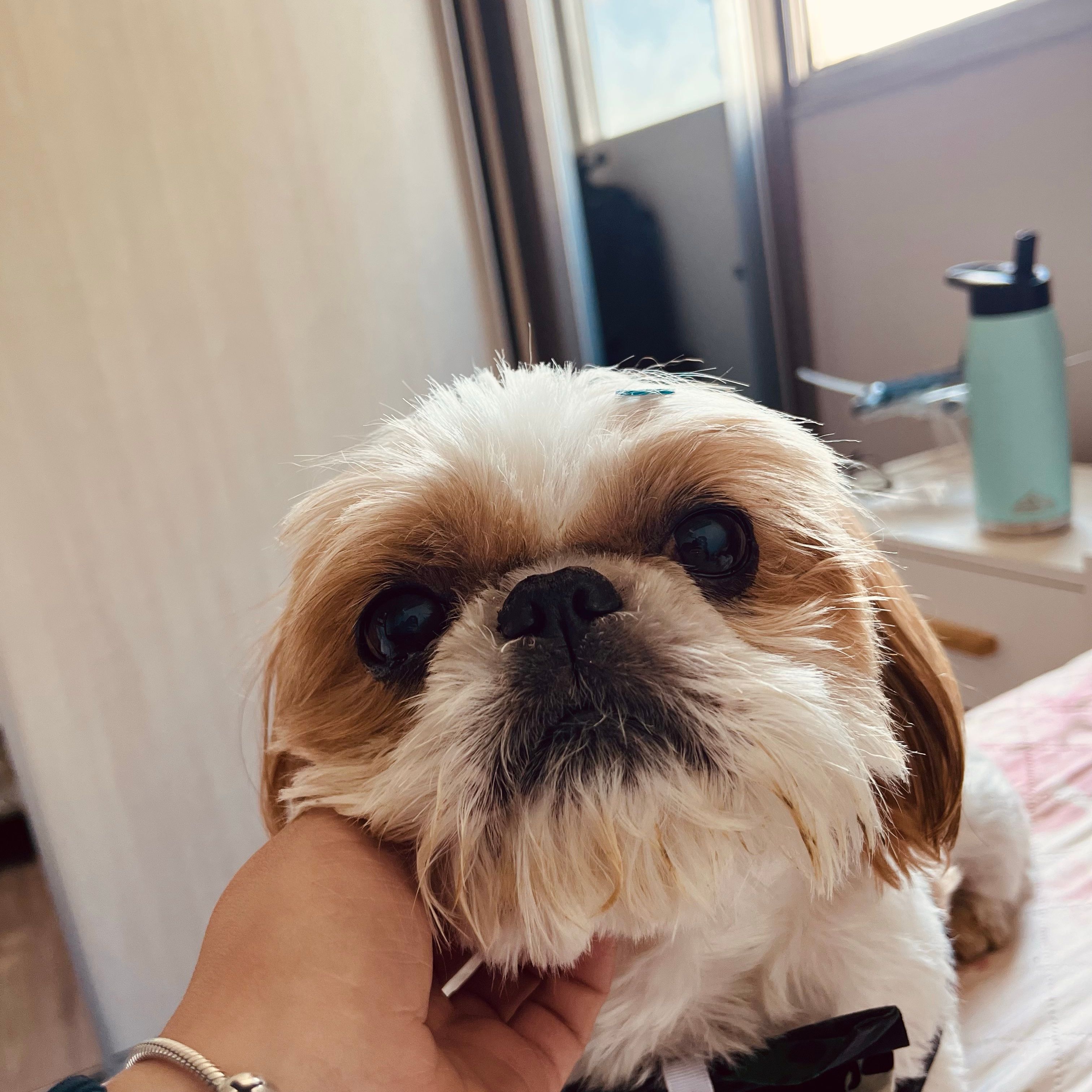 Ralf