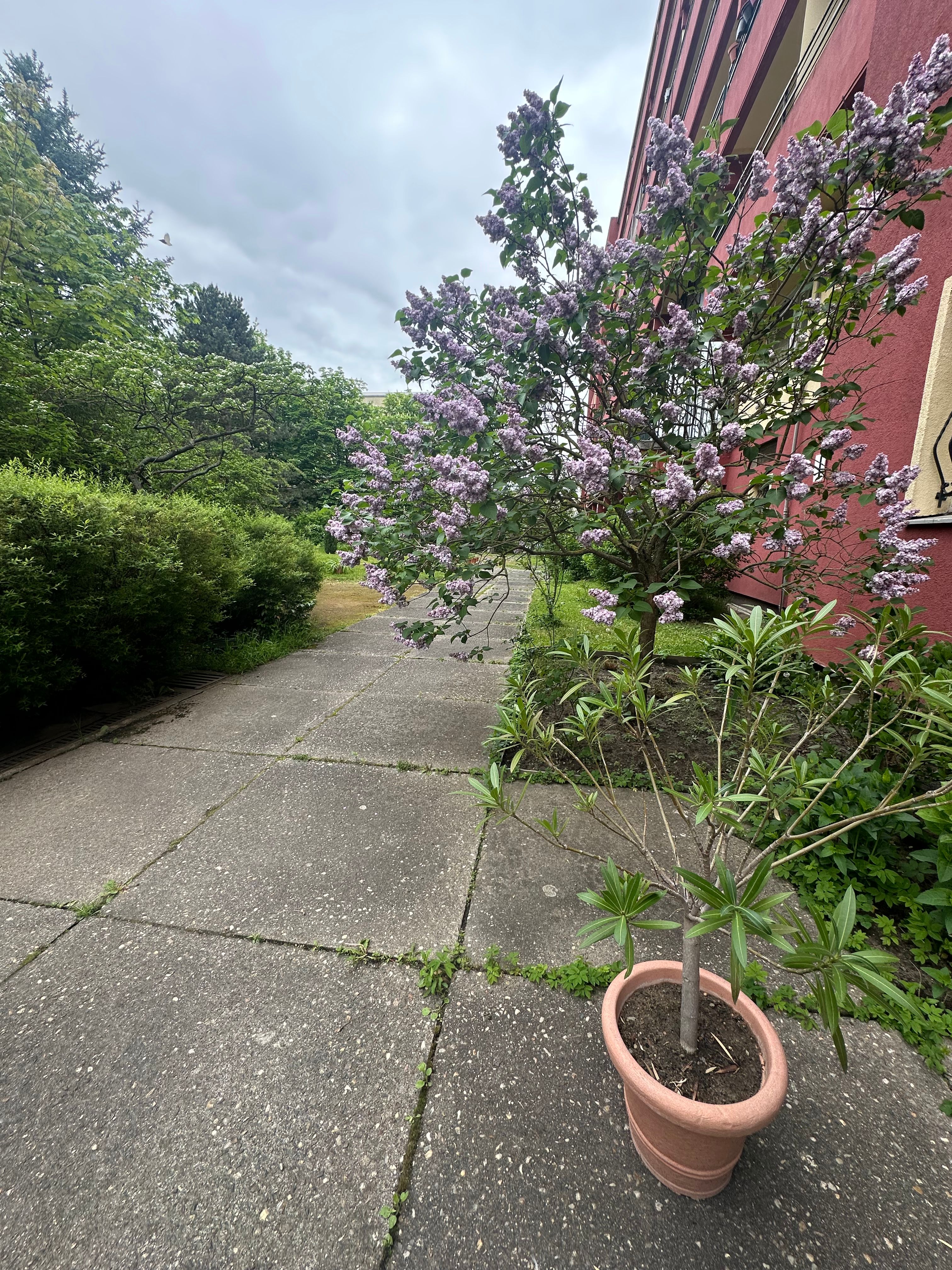 image-19