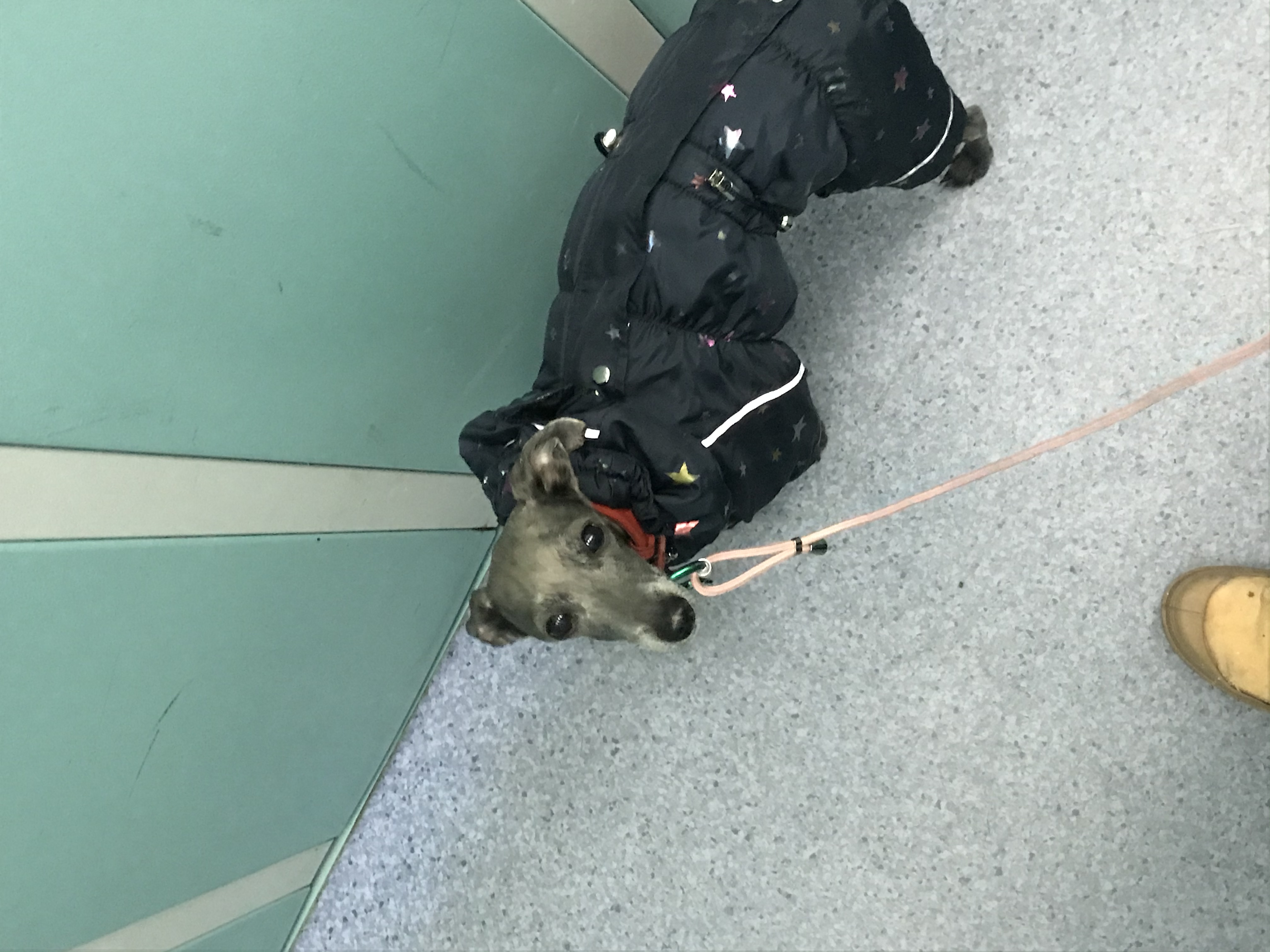 image-9