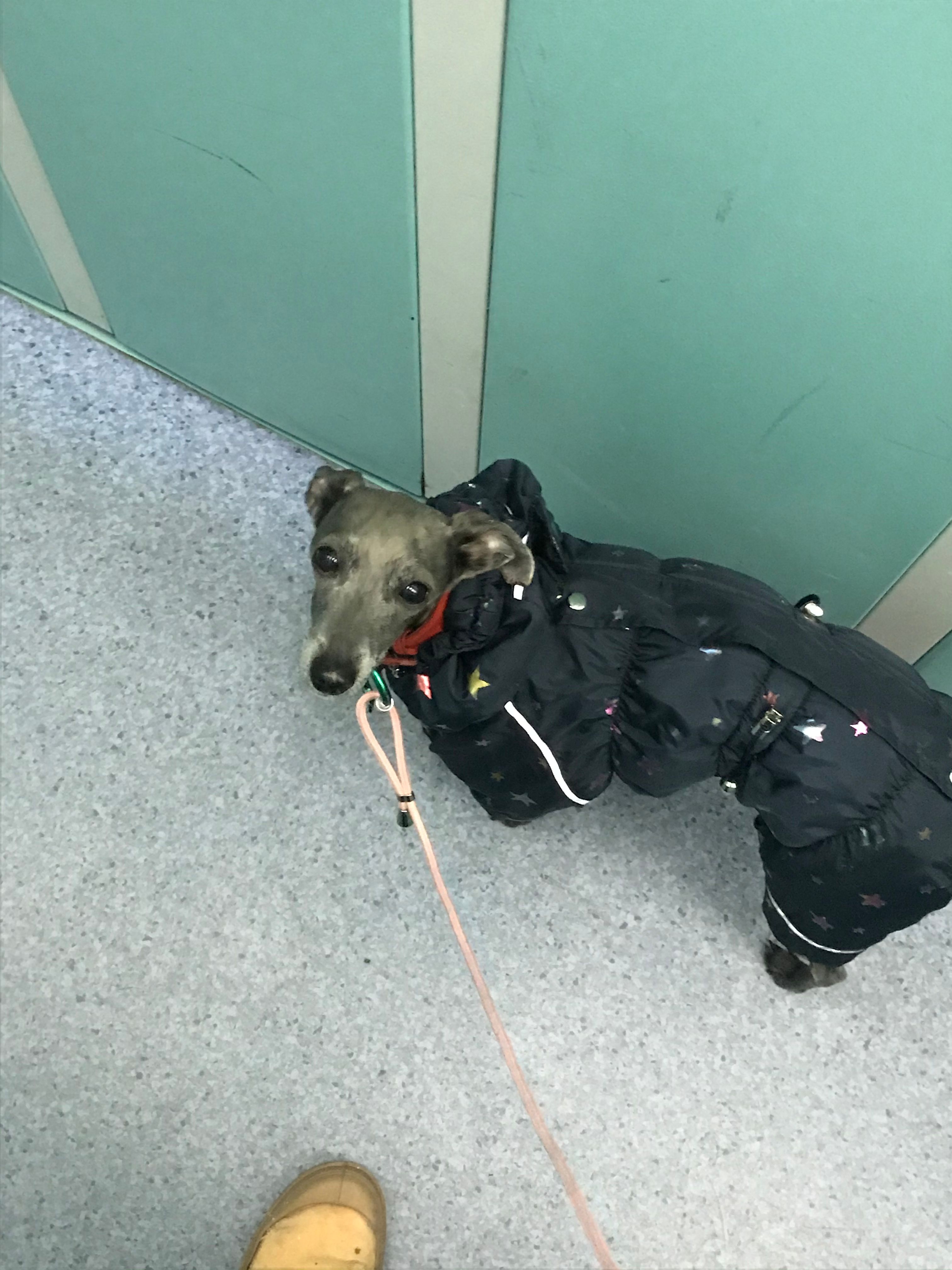image-9