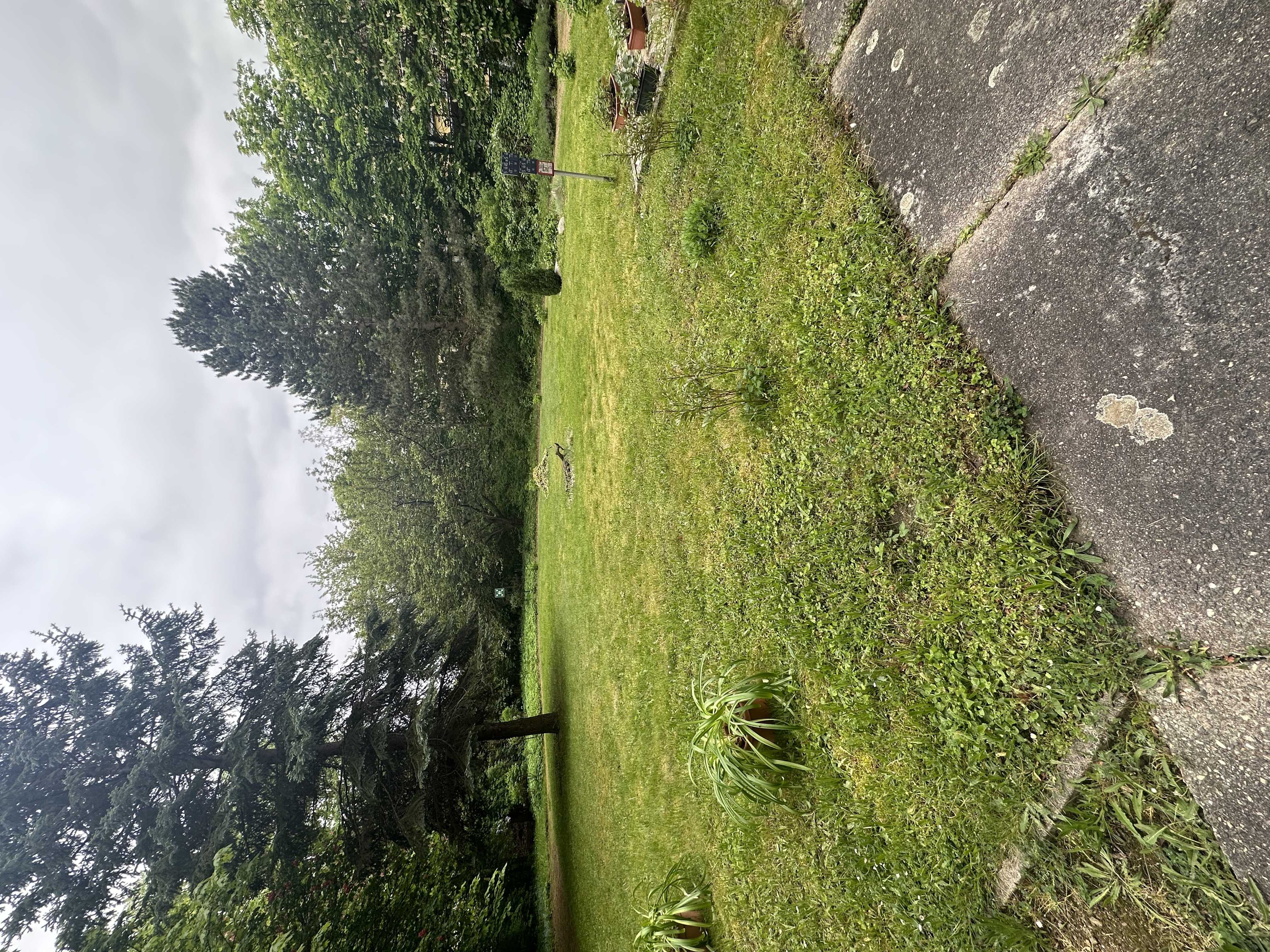 image-20