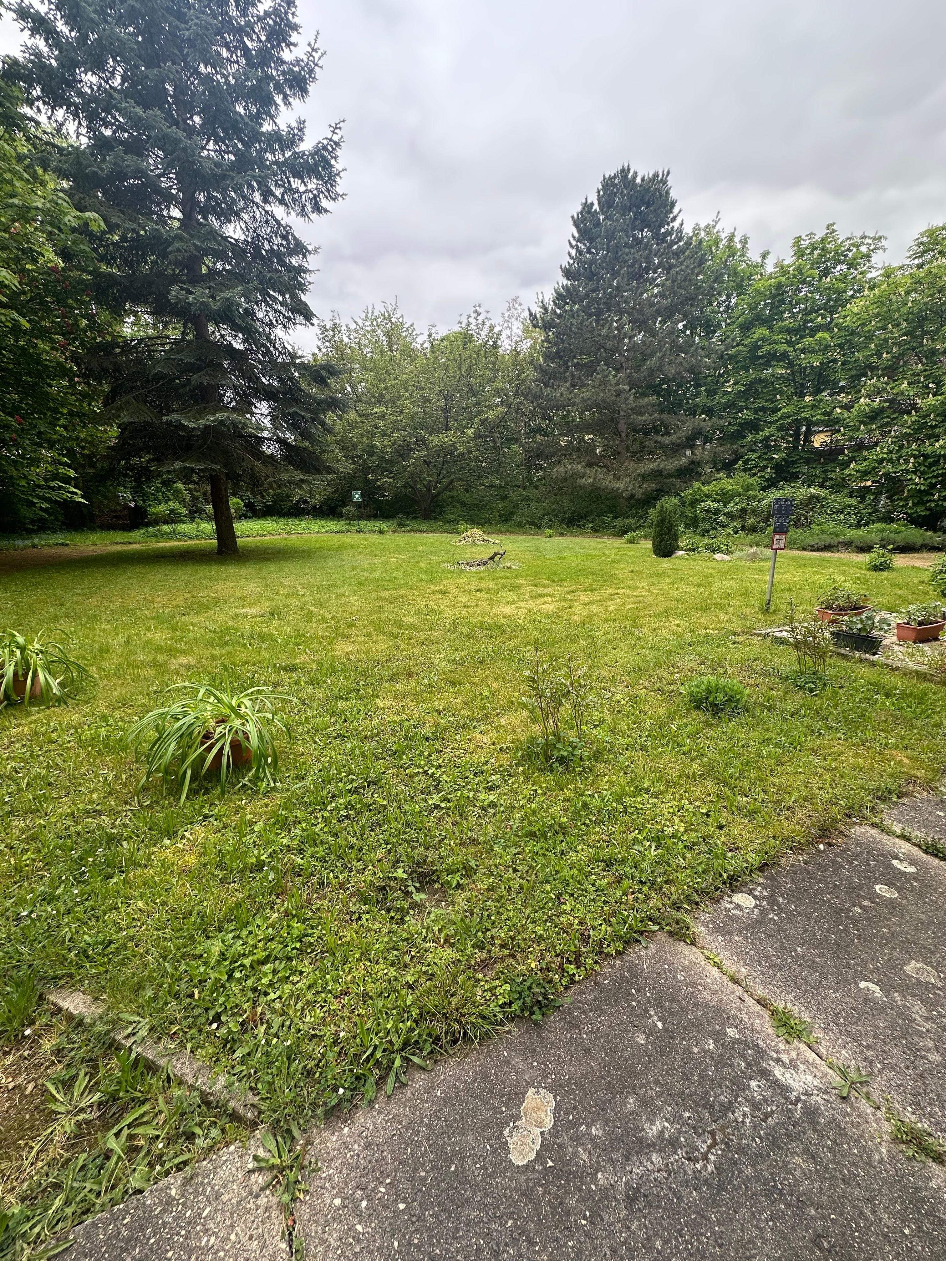 image-20