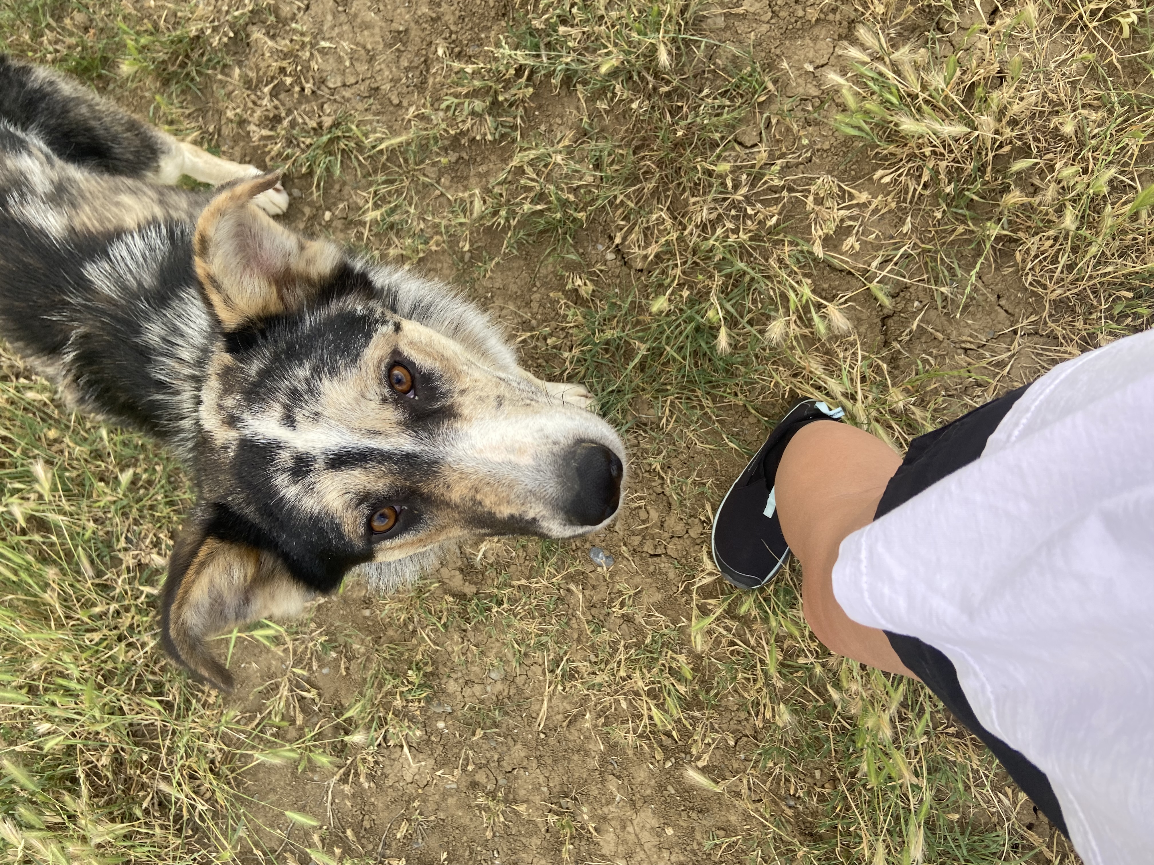 image-8