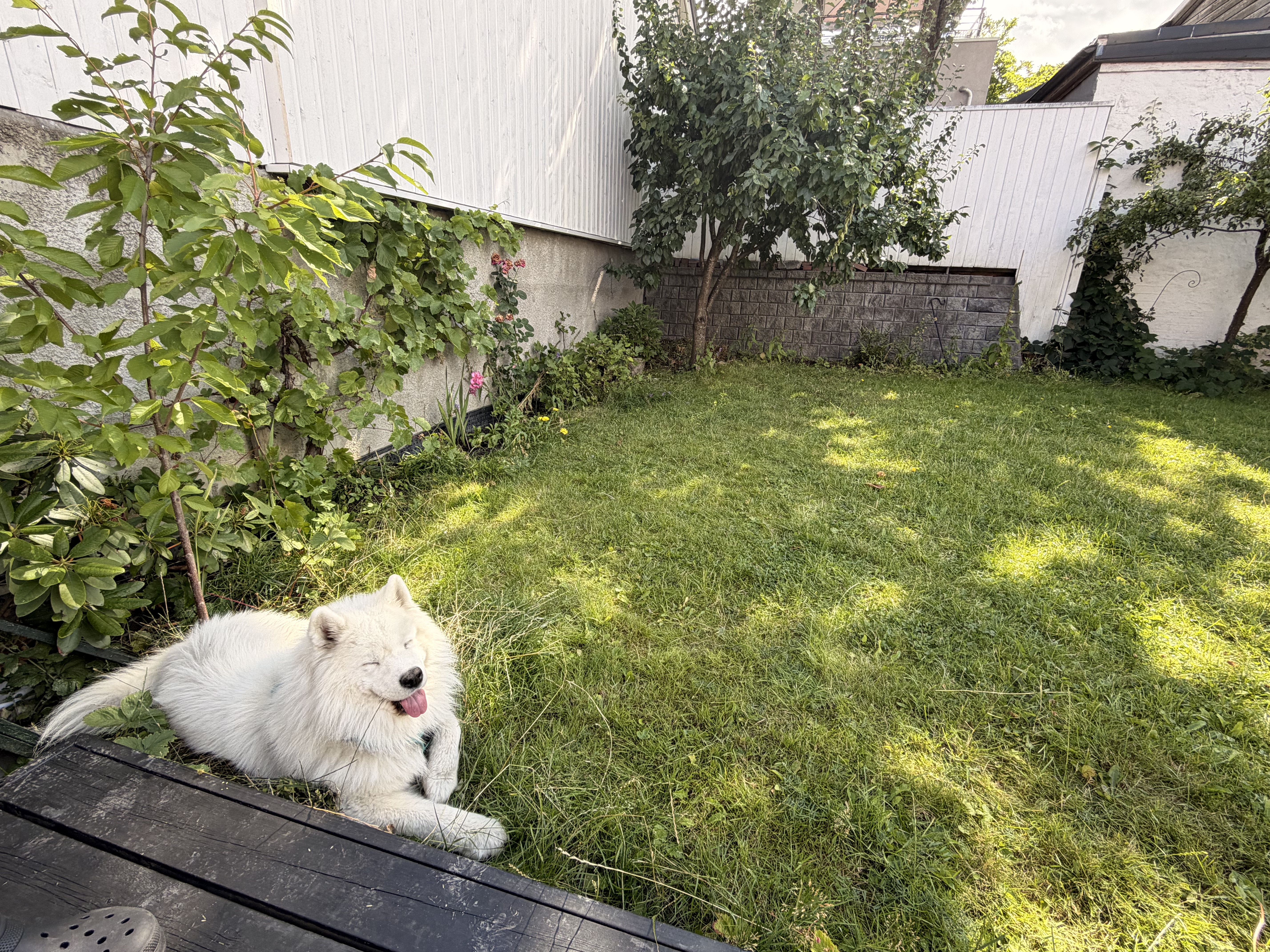 image-29