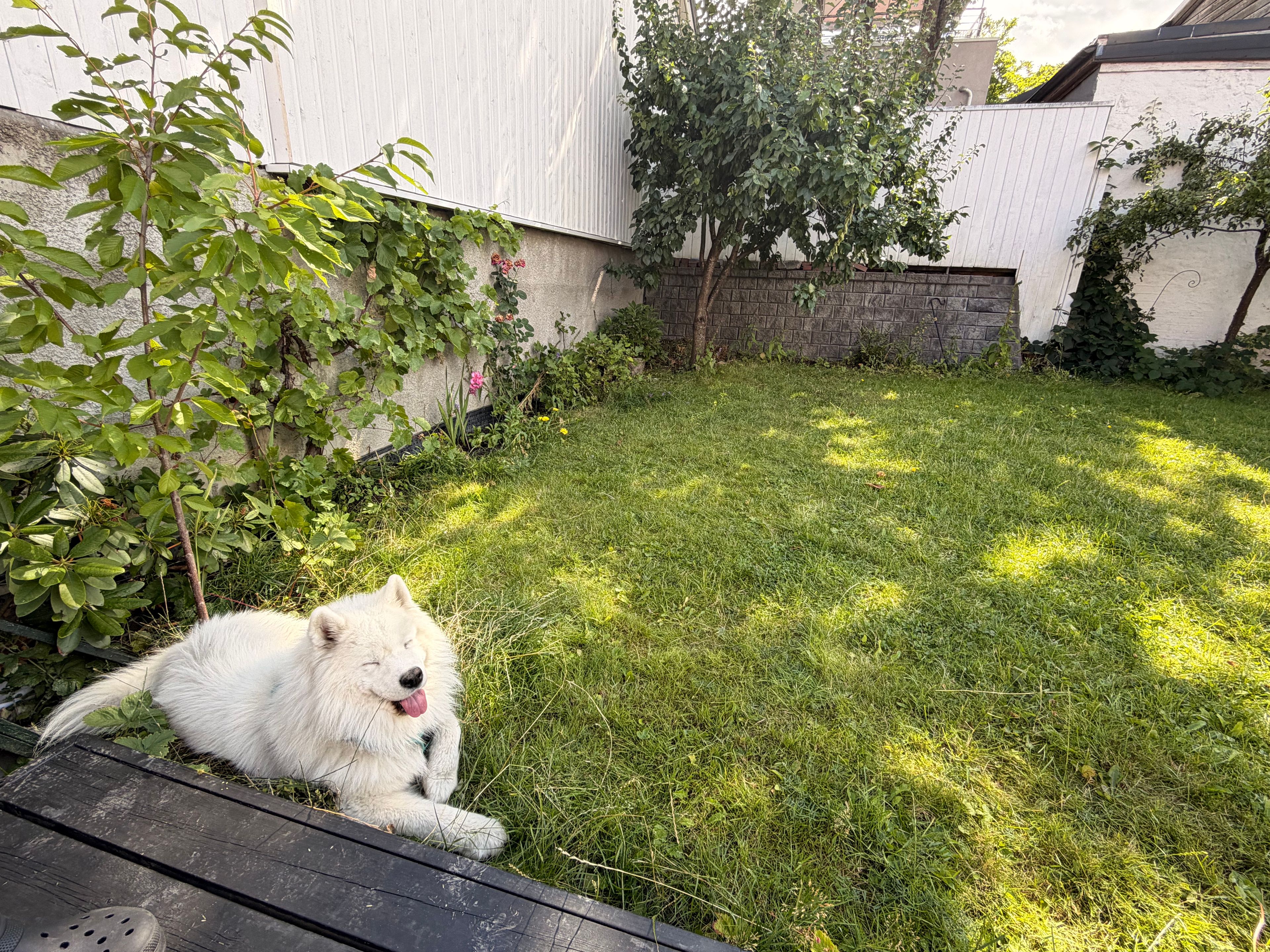 image-29
