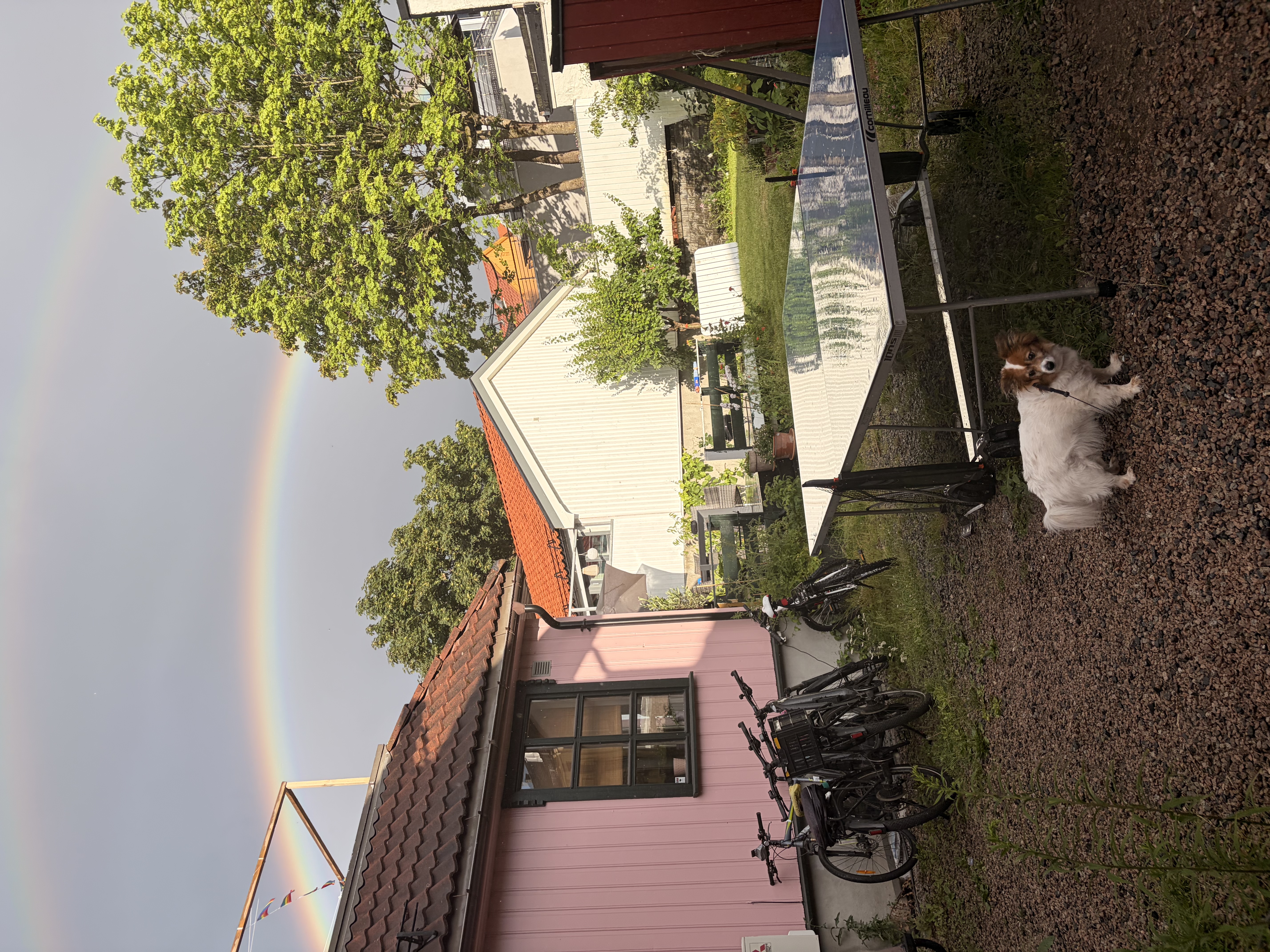 image-29