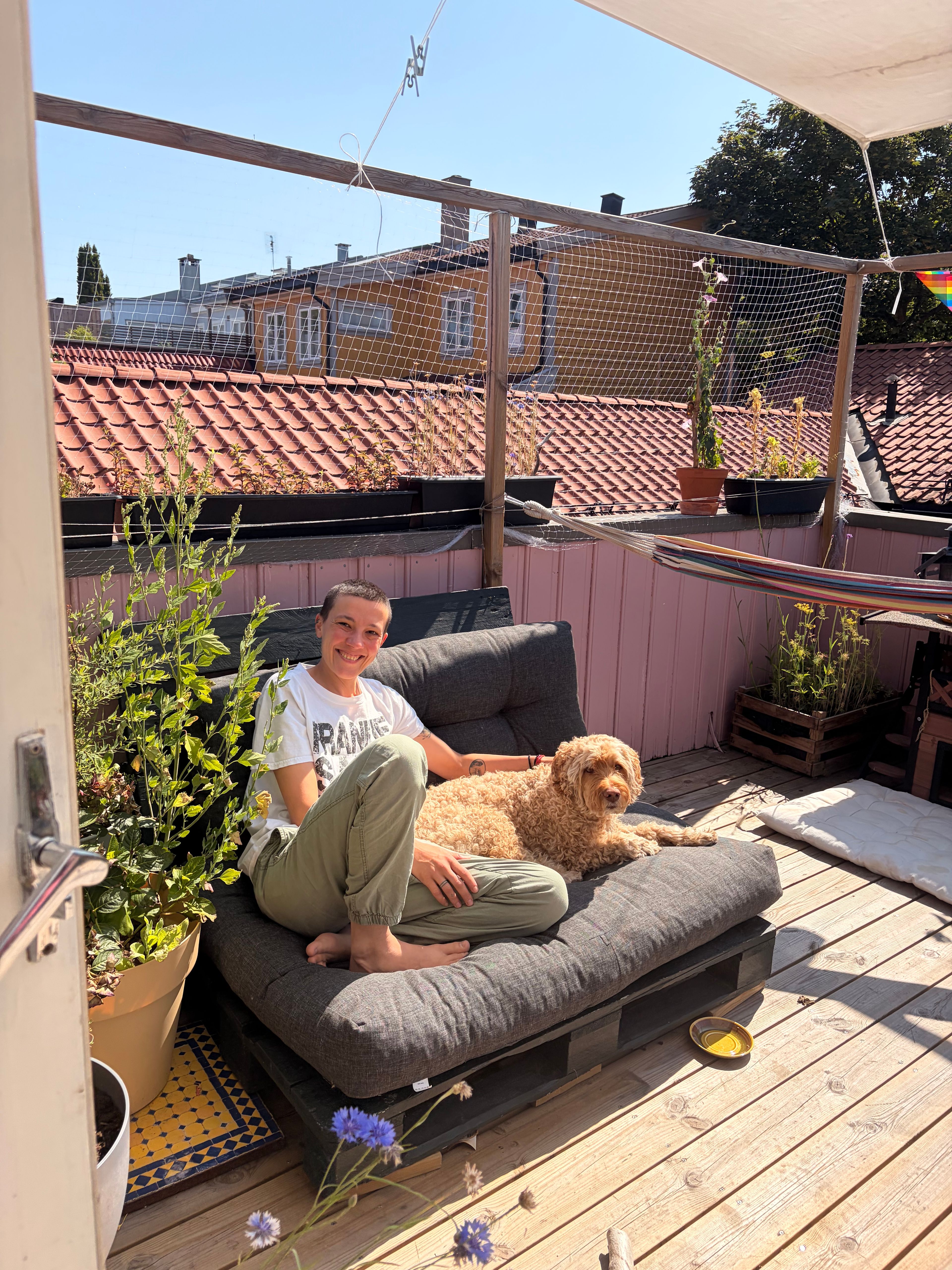 image-14