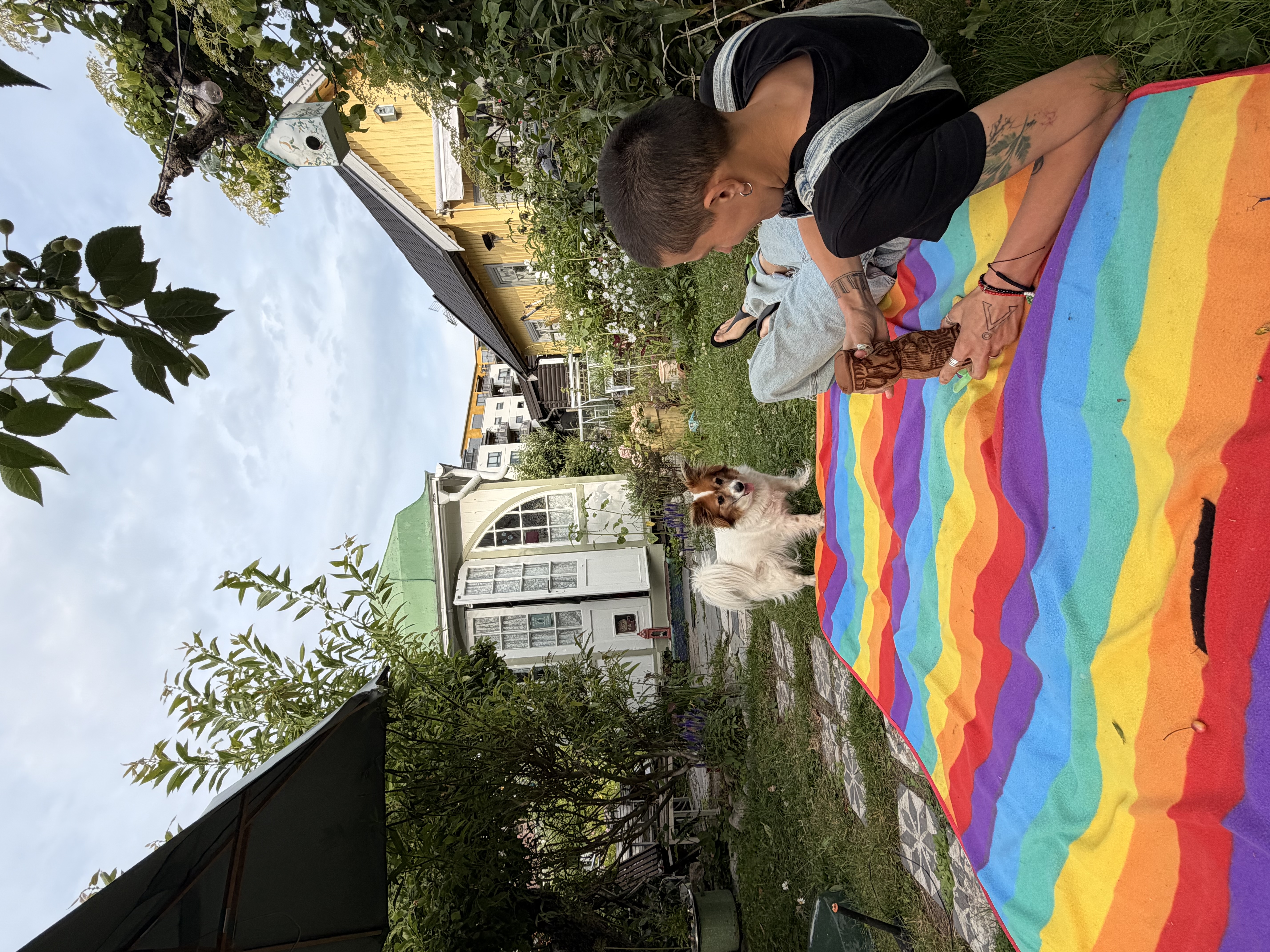 image-13