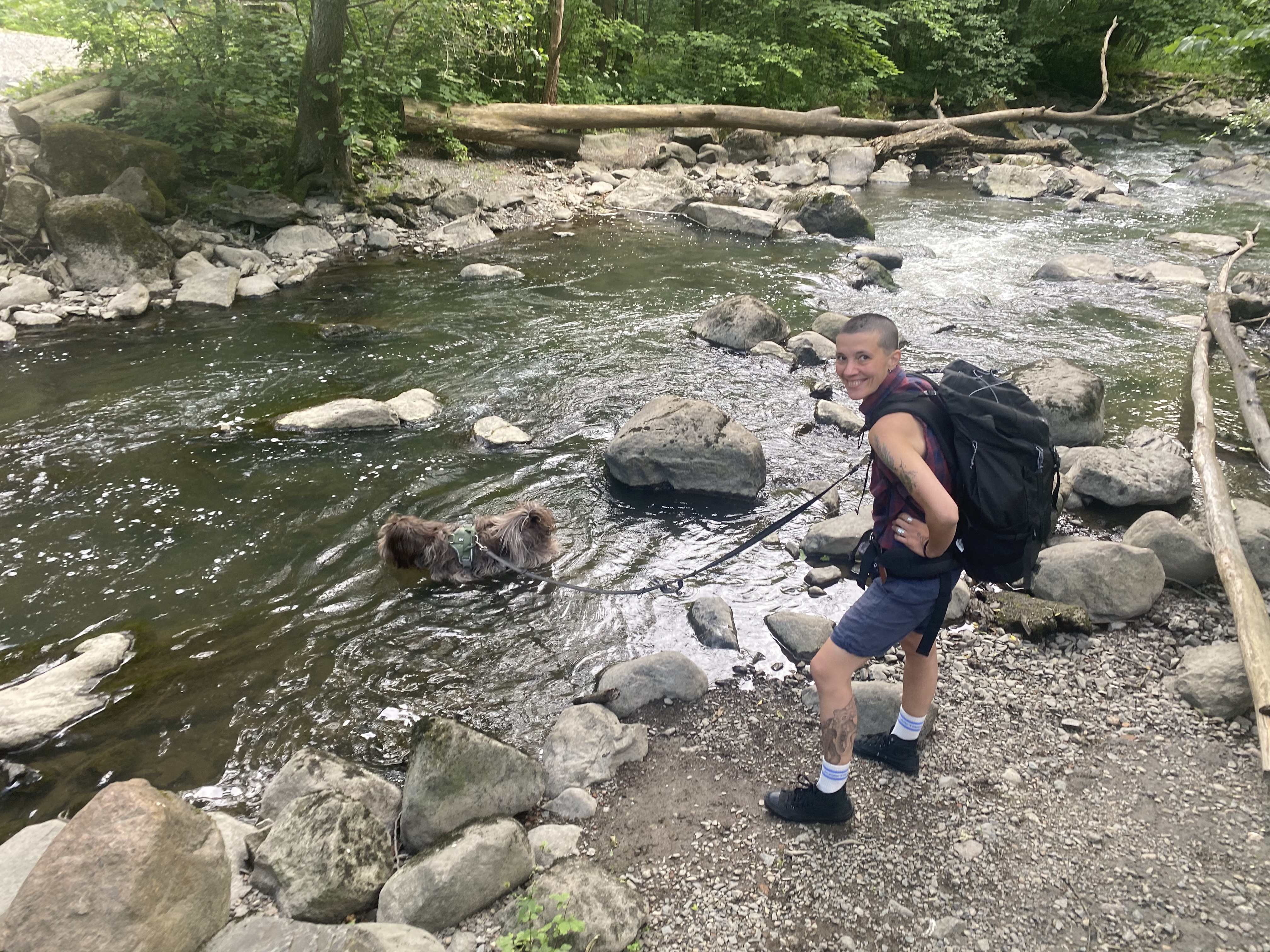 image-5