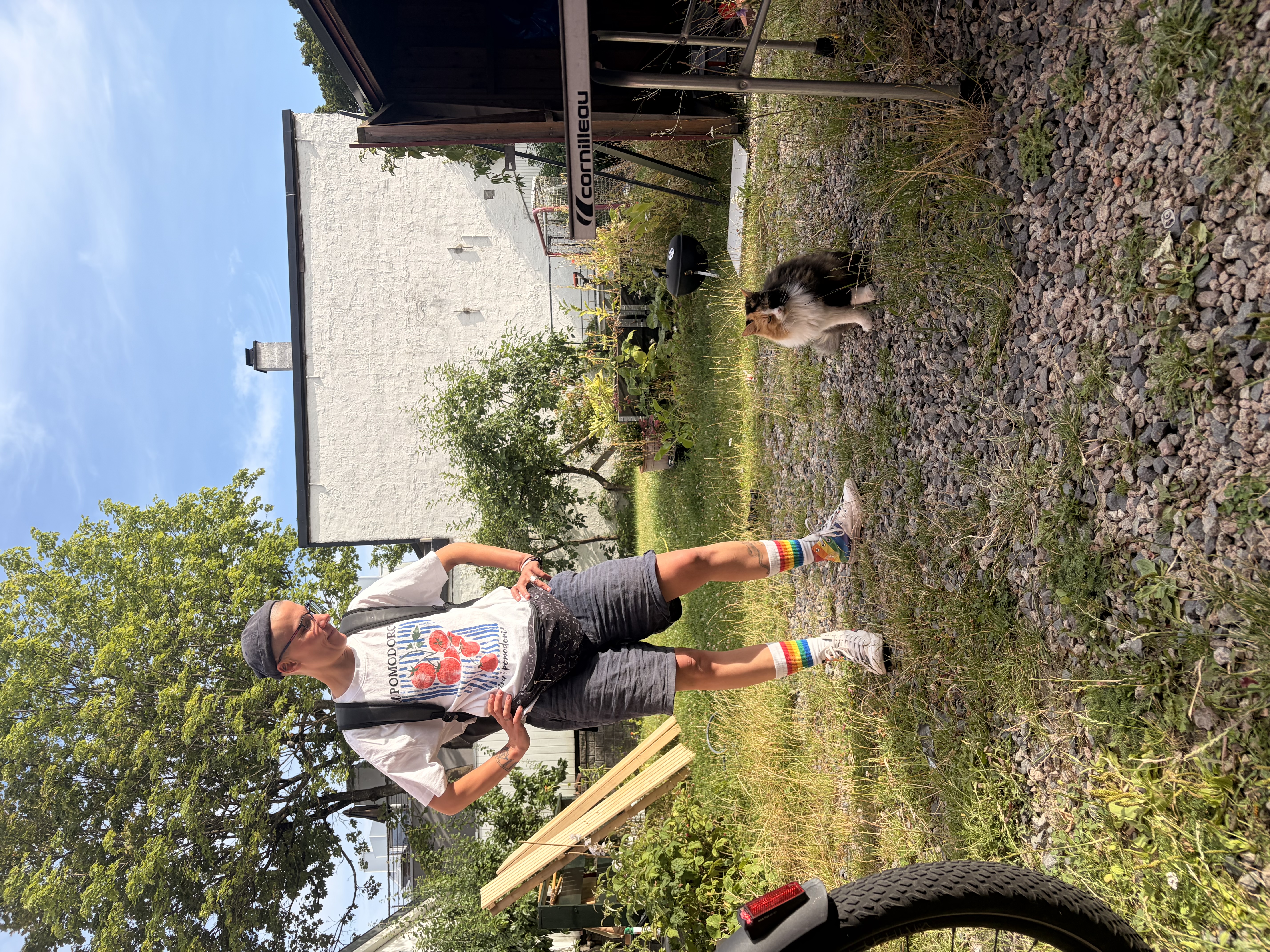 image-27