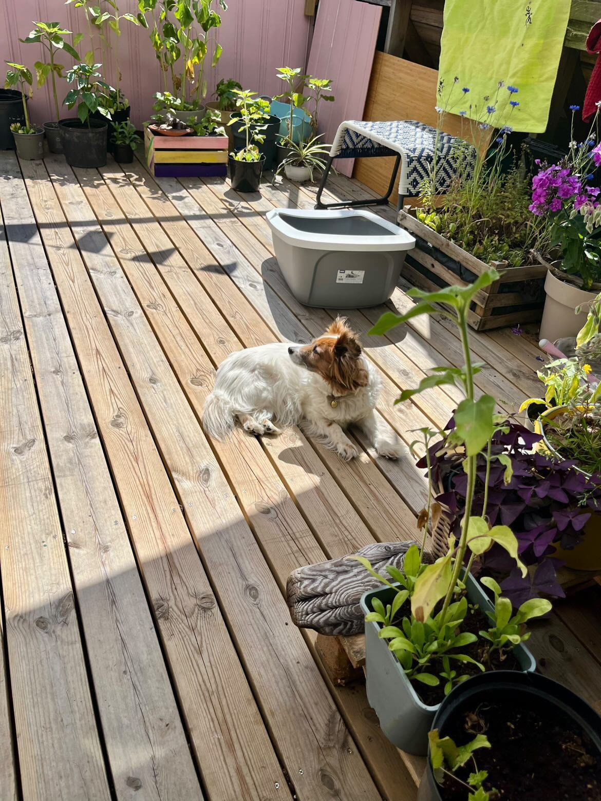 image-28