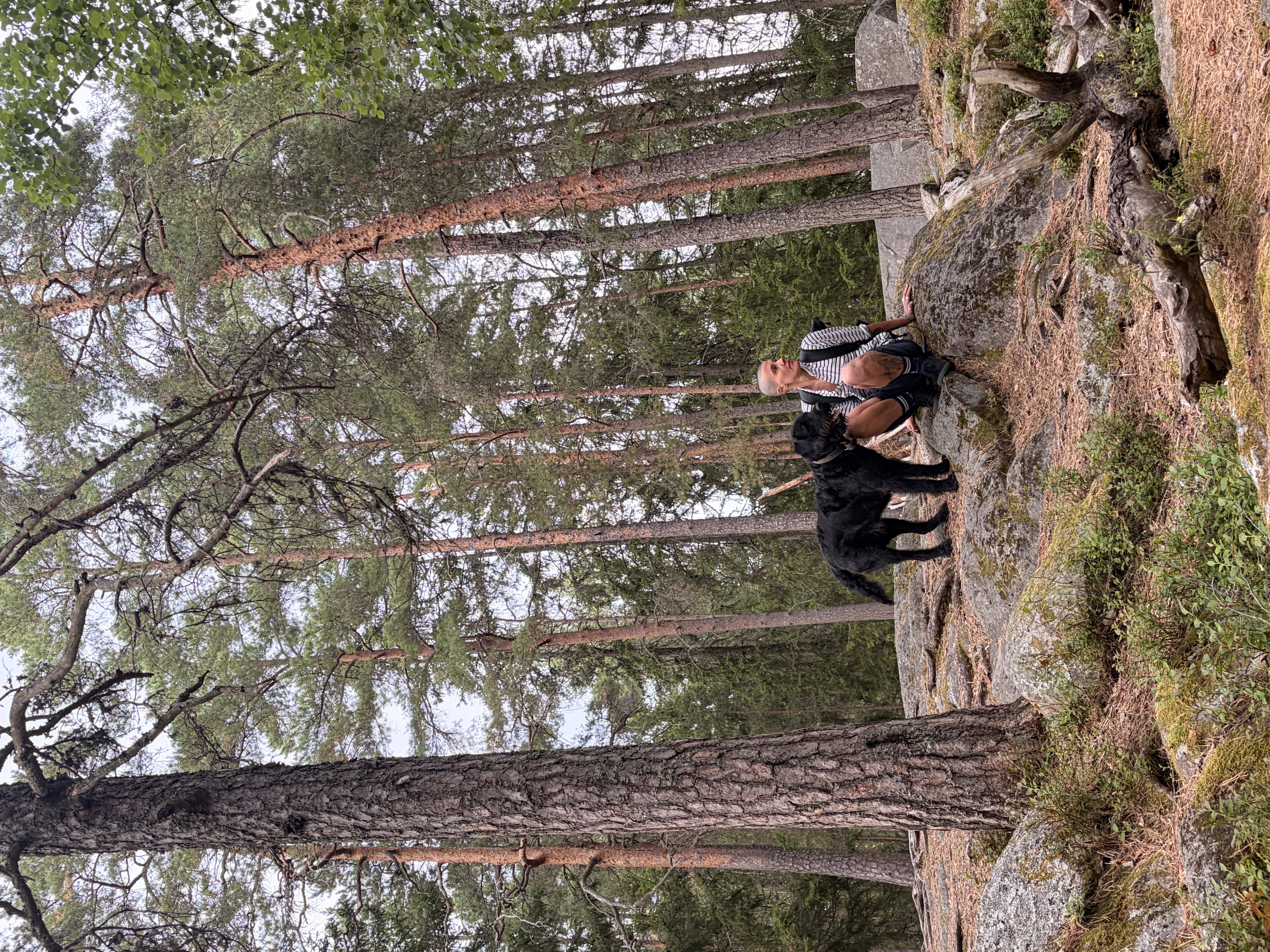 image-16