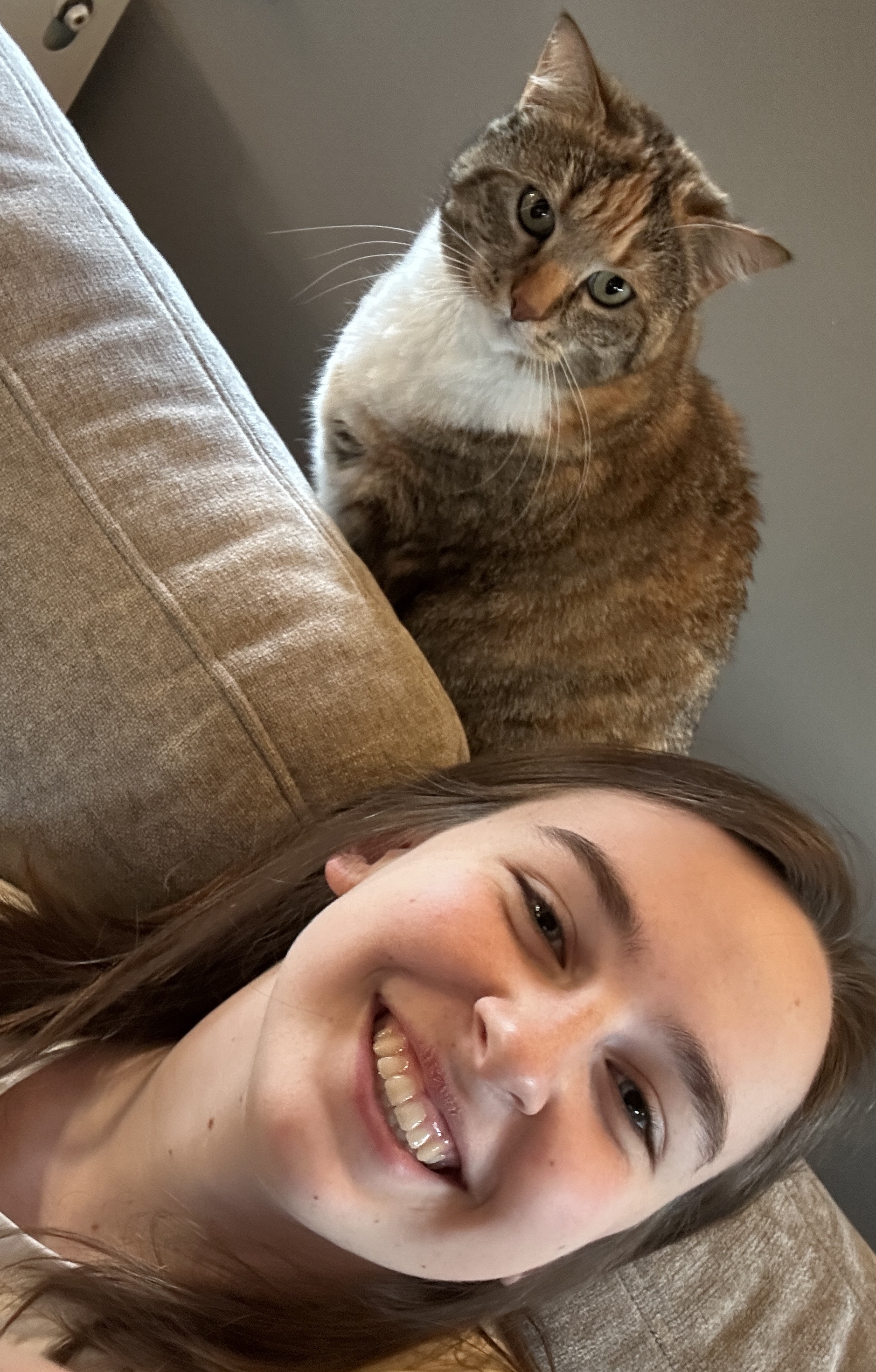 image-6