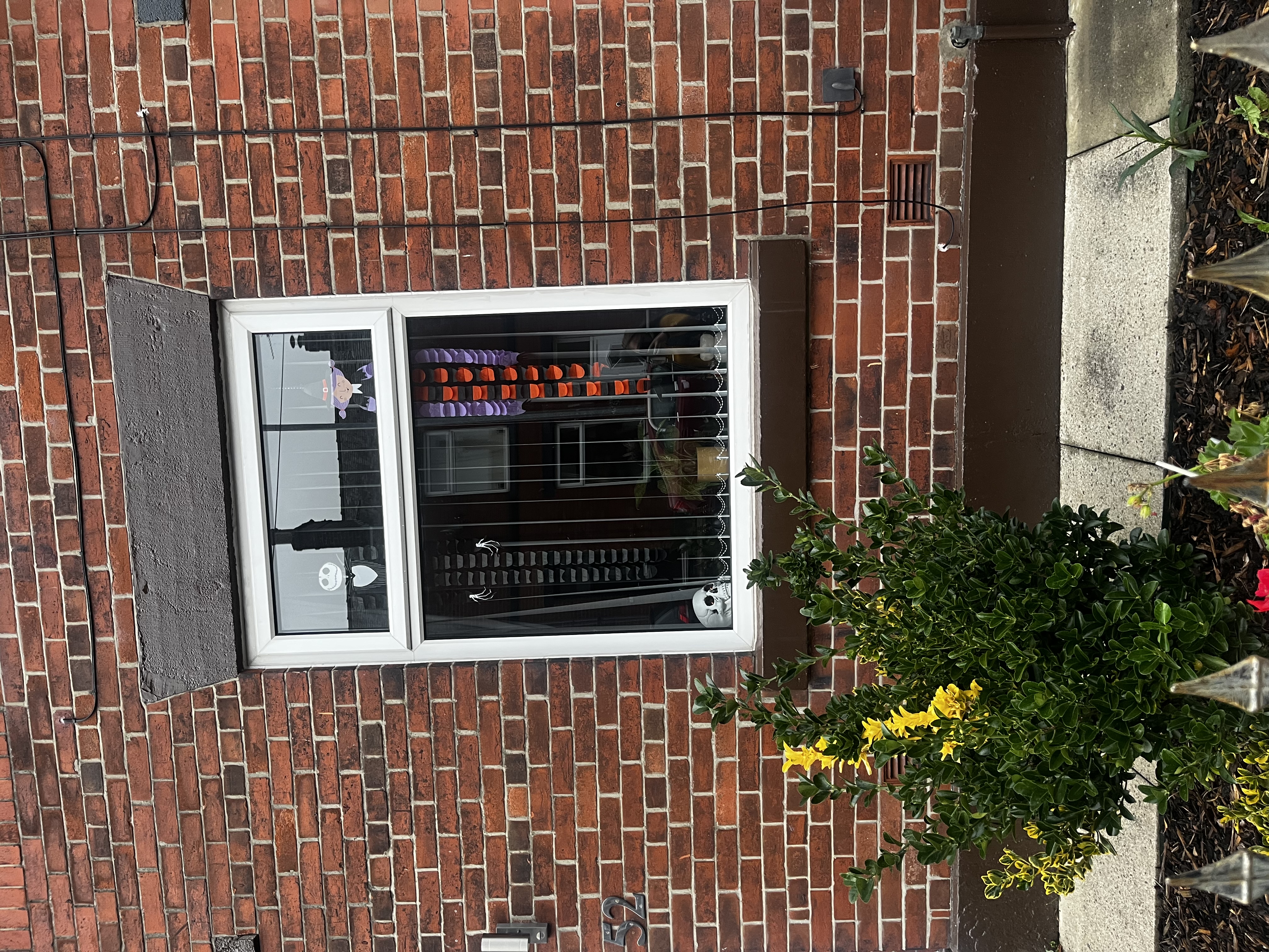 image-19