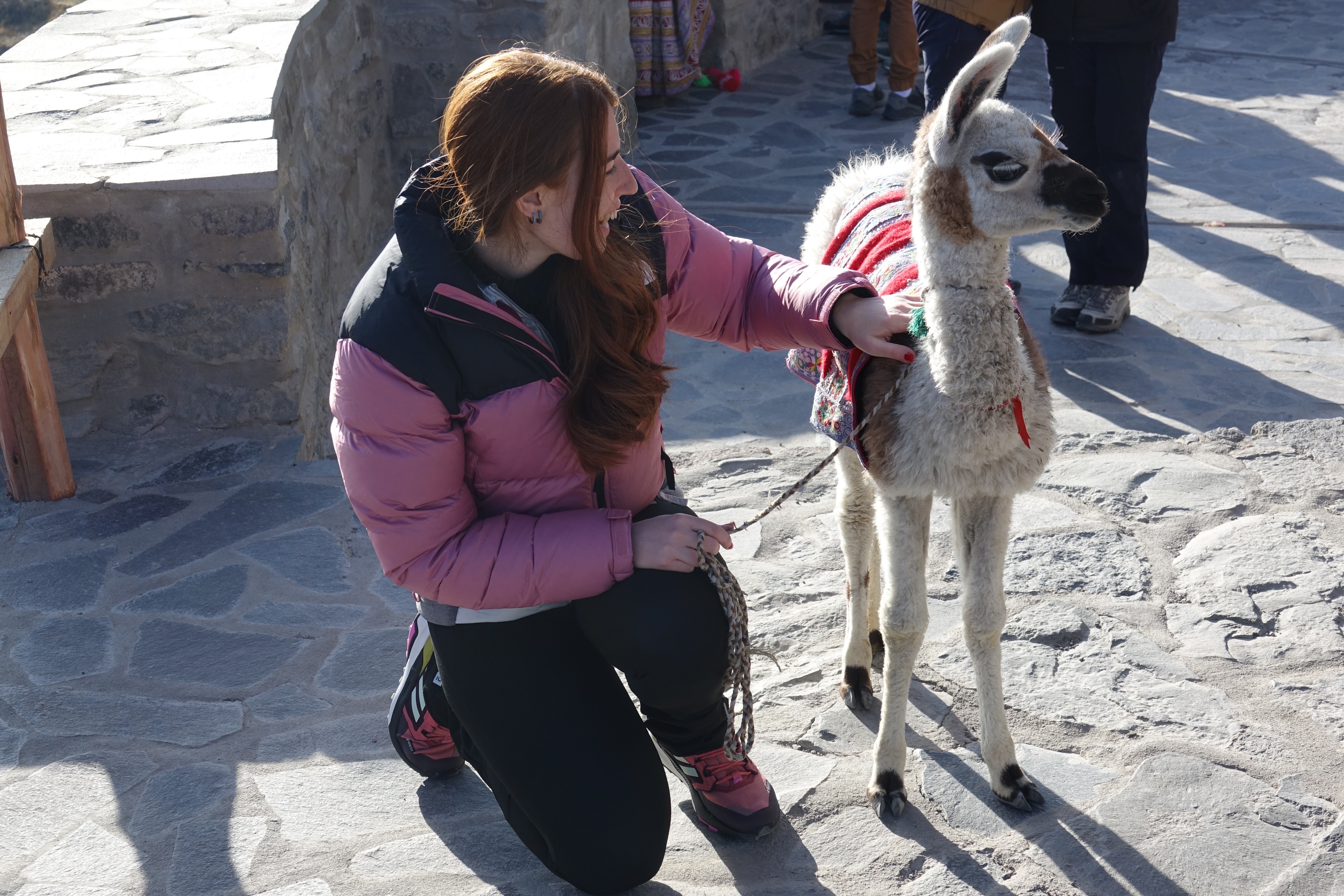 image-5