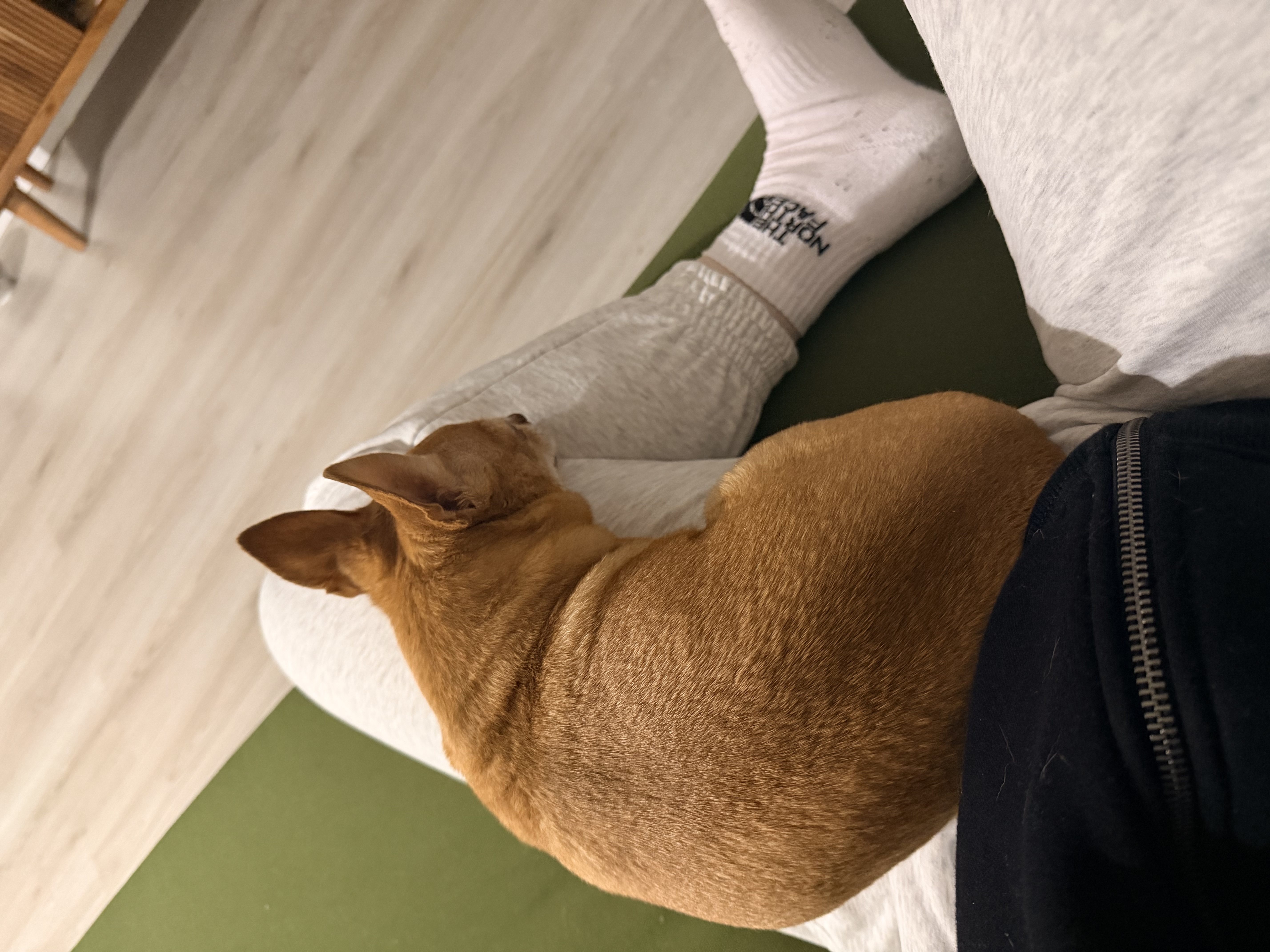 image-6