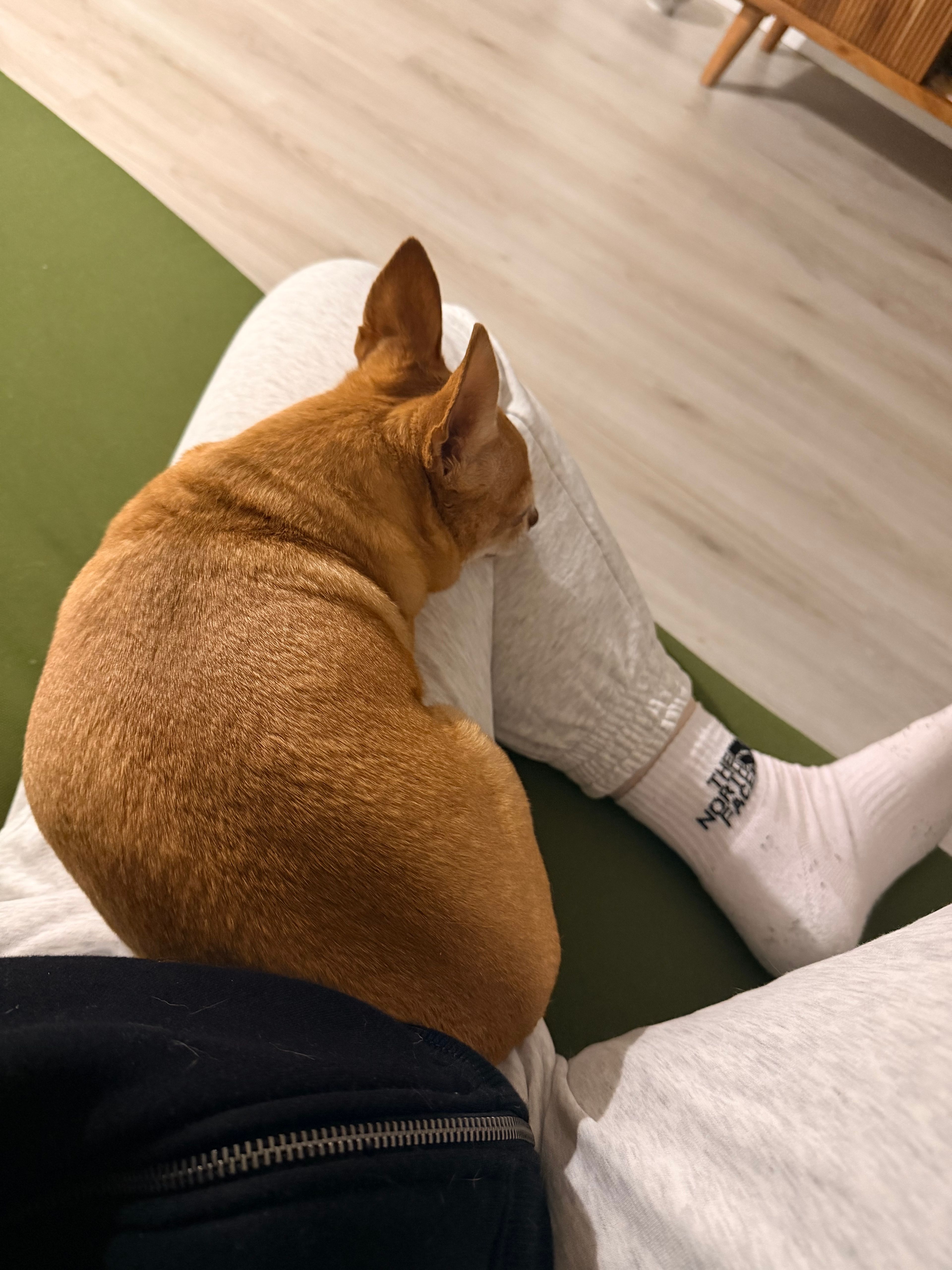 image-6