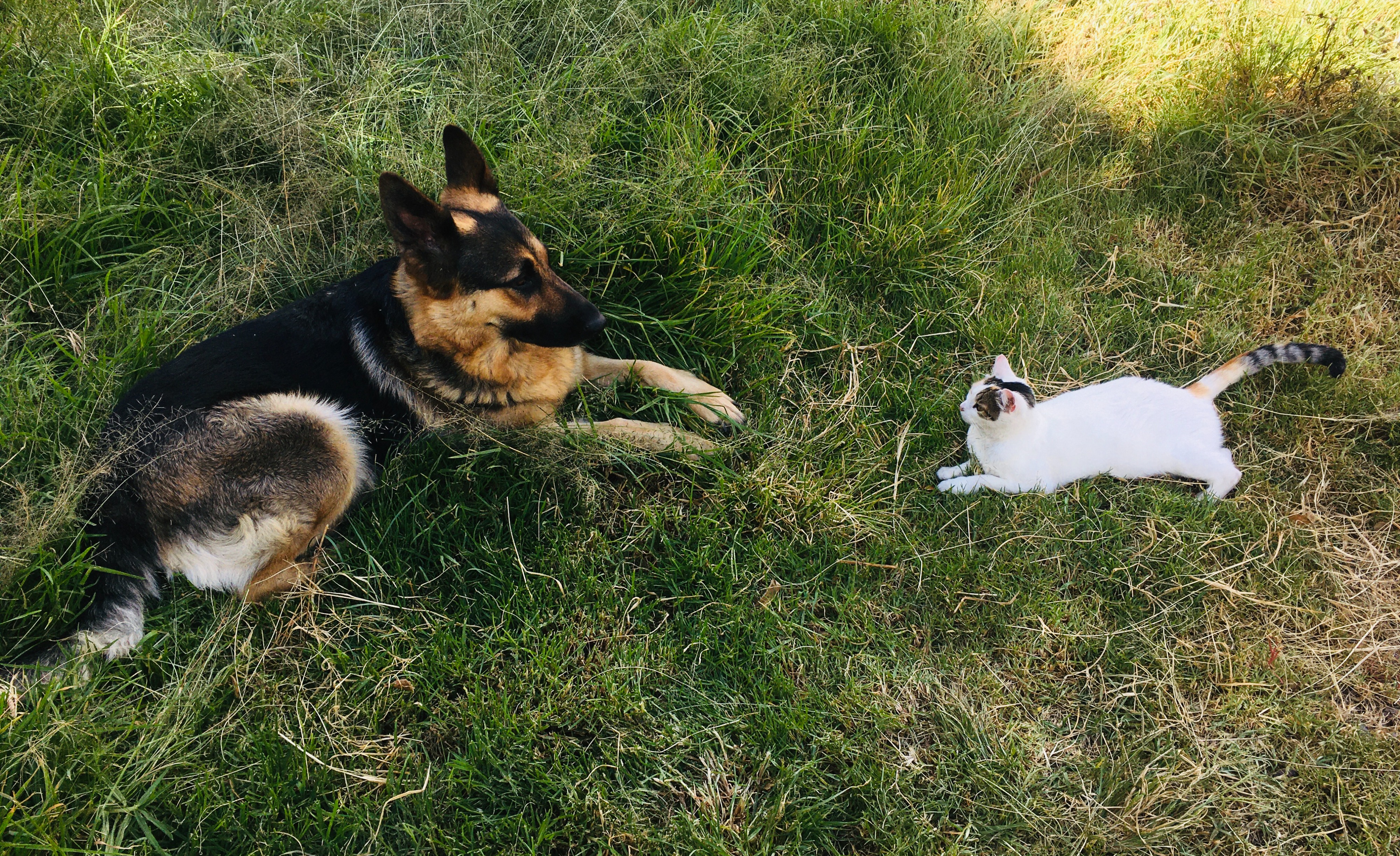 image-14
