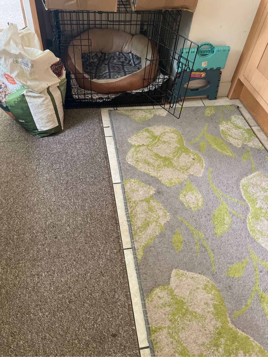 image-12