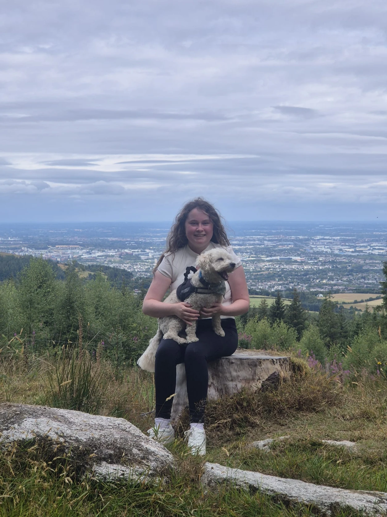 image-5
