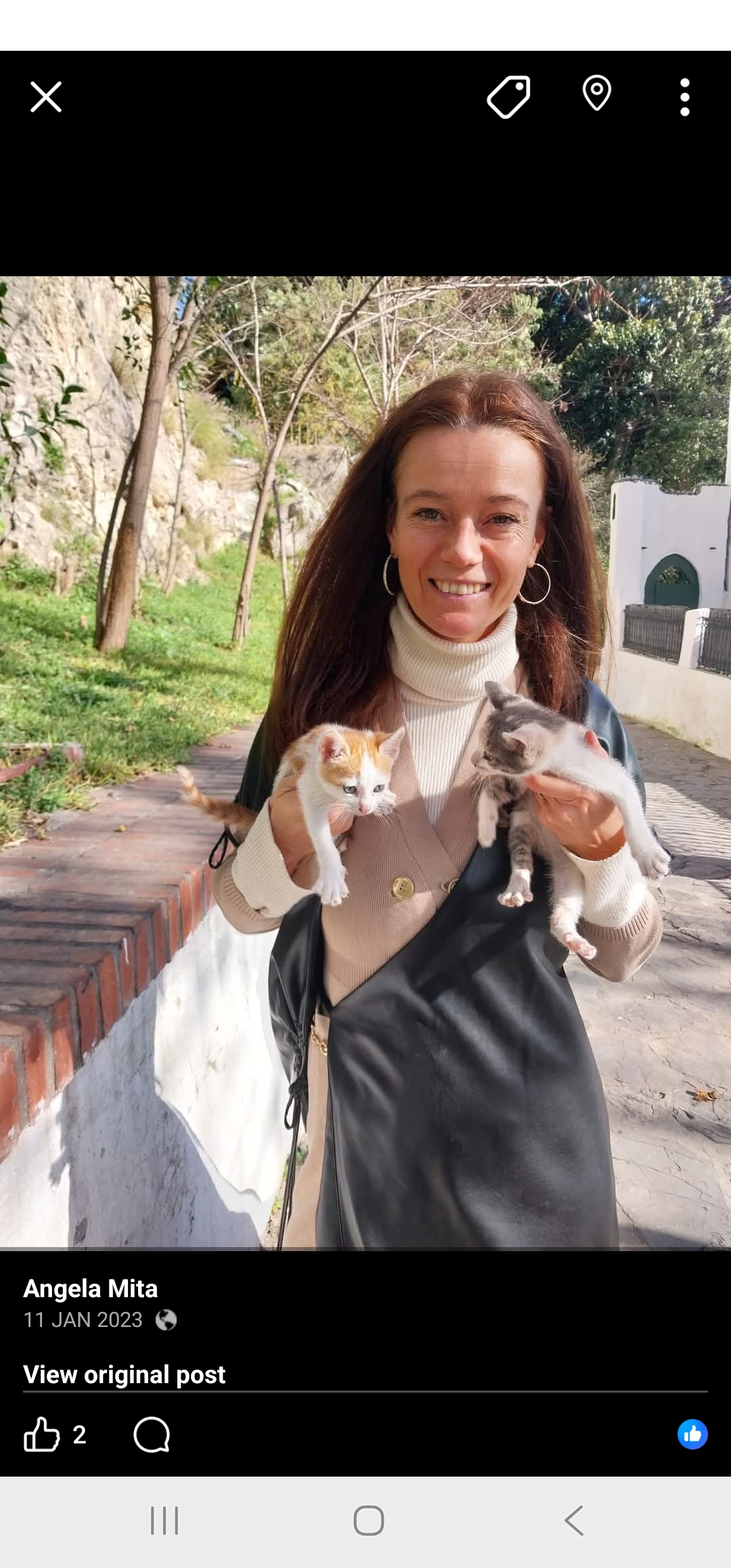 image-6