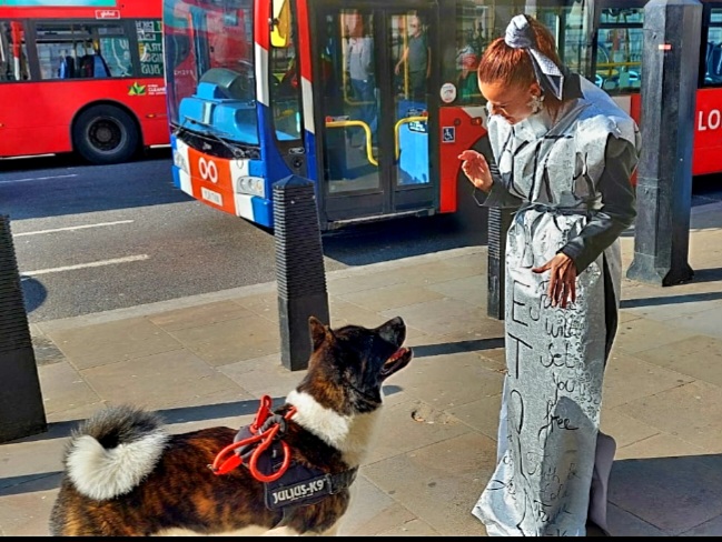image-42