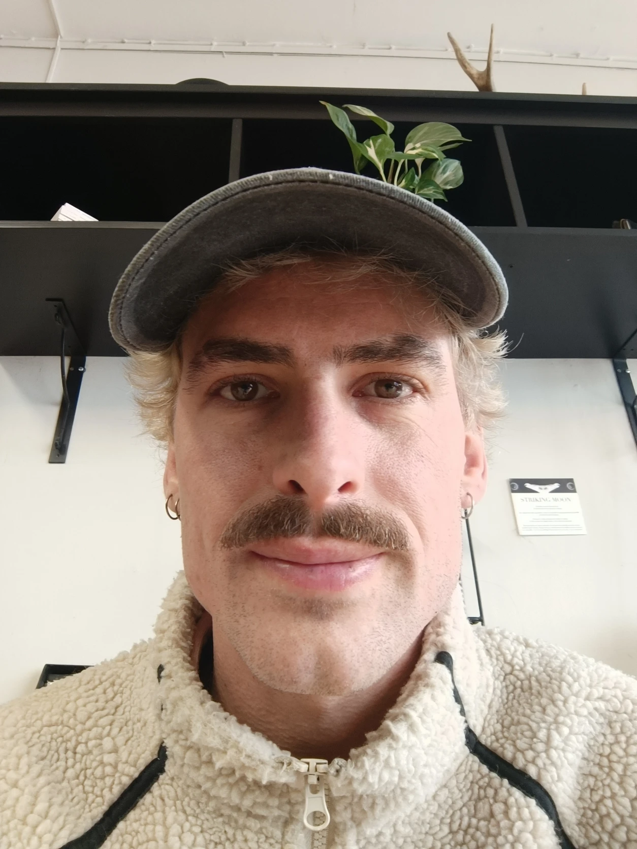 image-4